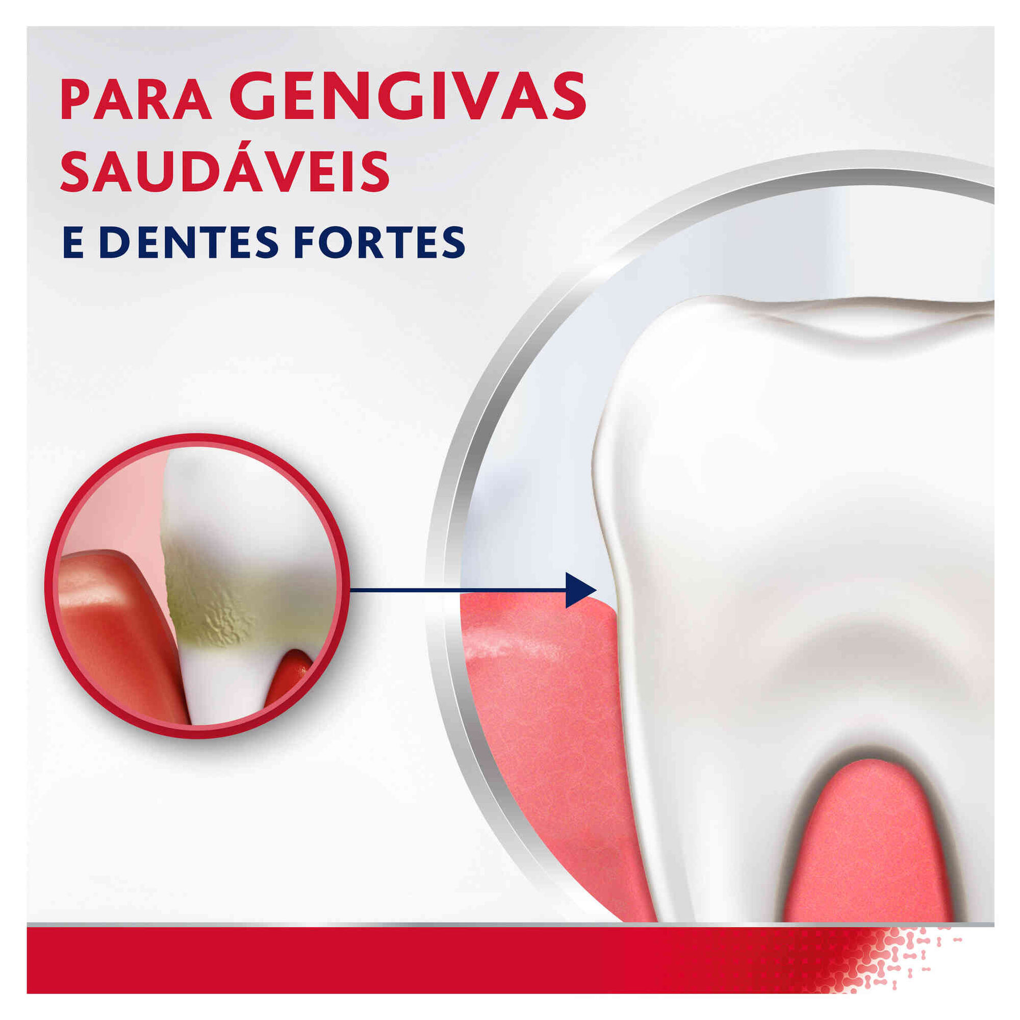Pasta de Dentes Gengivas Cuidado Diário