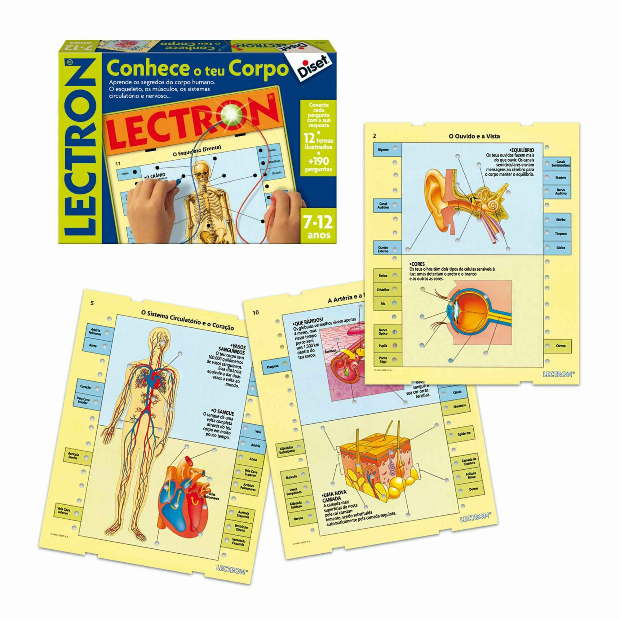 Lectron Conhece o Teu Corpo