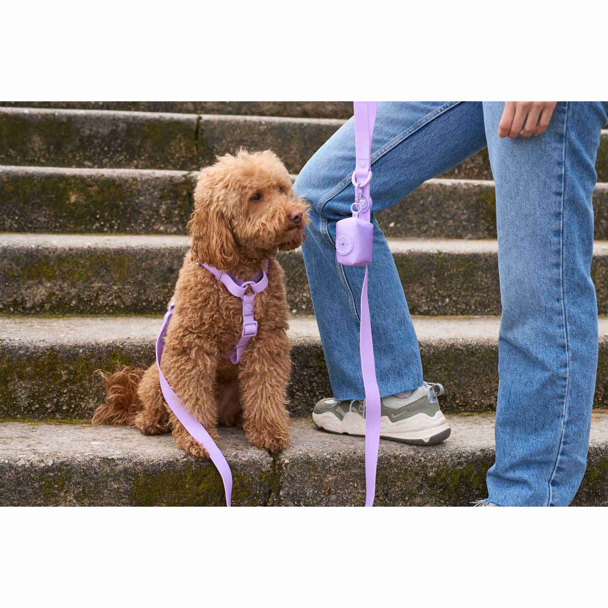 Trela para C&atilde;o Waterproof Purple L Dukier