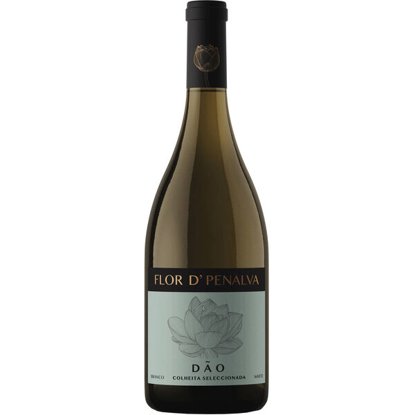 Flor dPenalva Colheita Selecionada Dão Vinho Branco