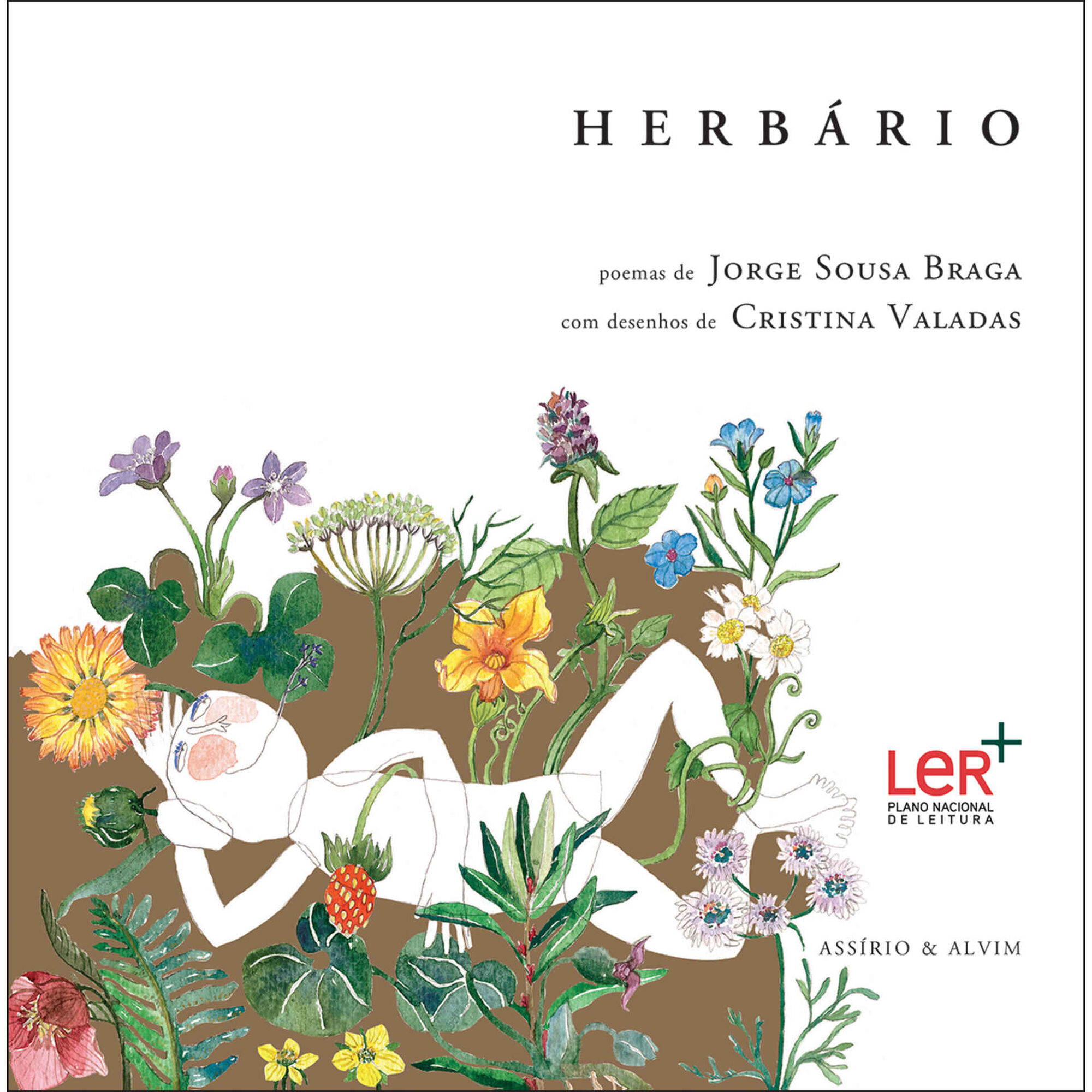 Herb&aacute;rio de Jorge Sousa Braga