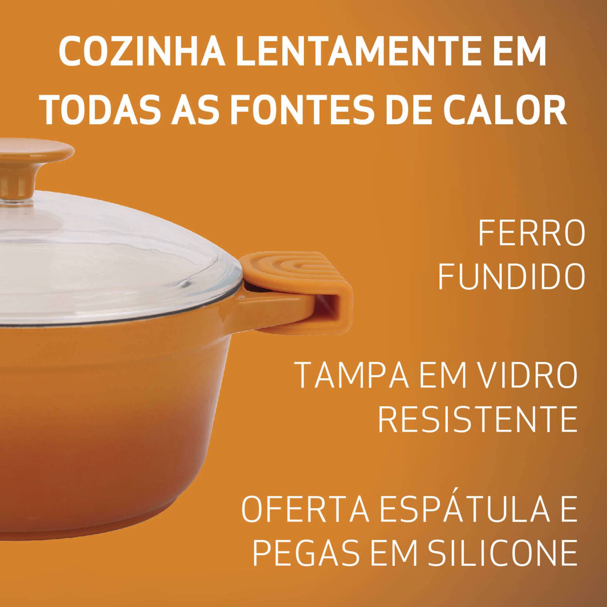 Caçarola Antiaderente Ferro Fundido 20 cm Asas e Tampa