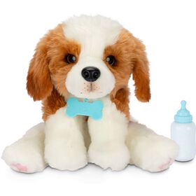 Peluche O Meu Cachorro Mesmo Real