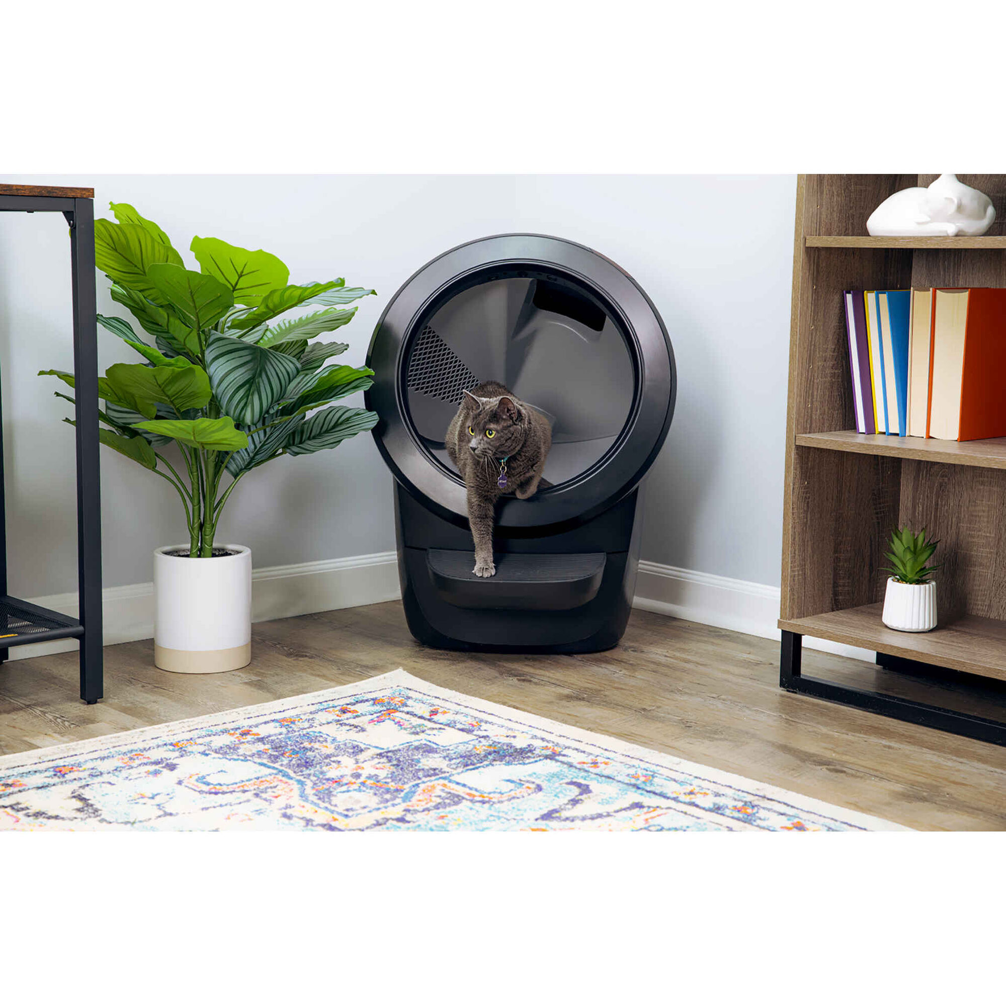 Caixa de Areia Autom&aacute;tica para Gato Litter-Robot 4 Preto Whisker