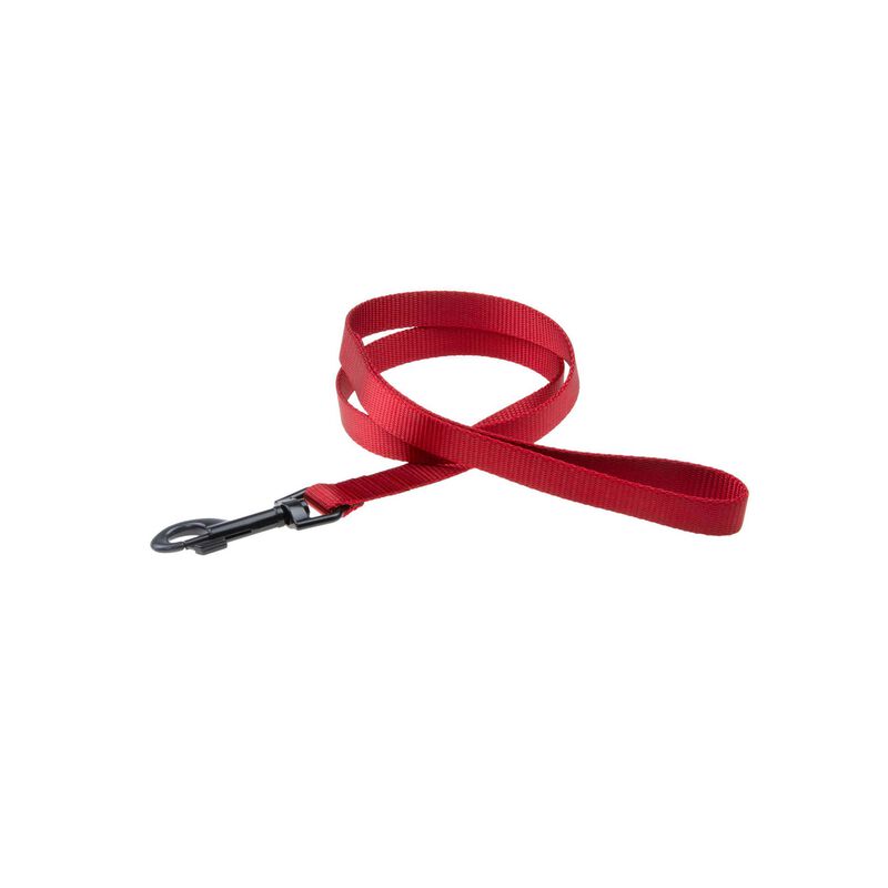 Trela para Cão Vermelha Pet+