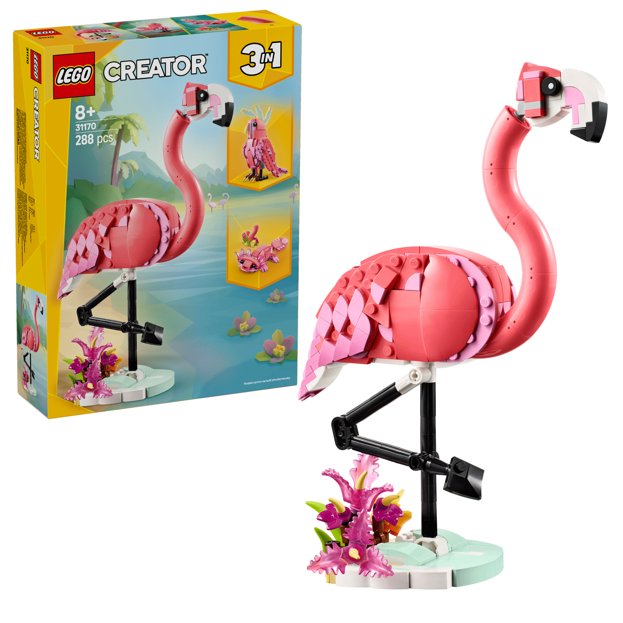 Animais Selvagens: Flamingo Cor-de-rosa - 31170