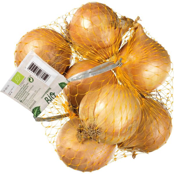 Cebola Biológica Continente Bio