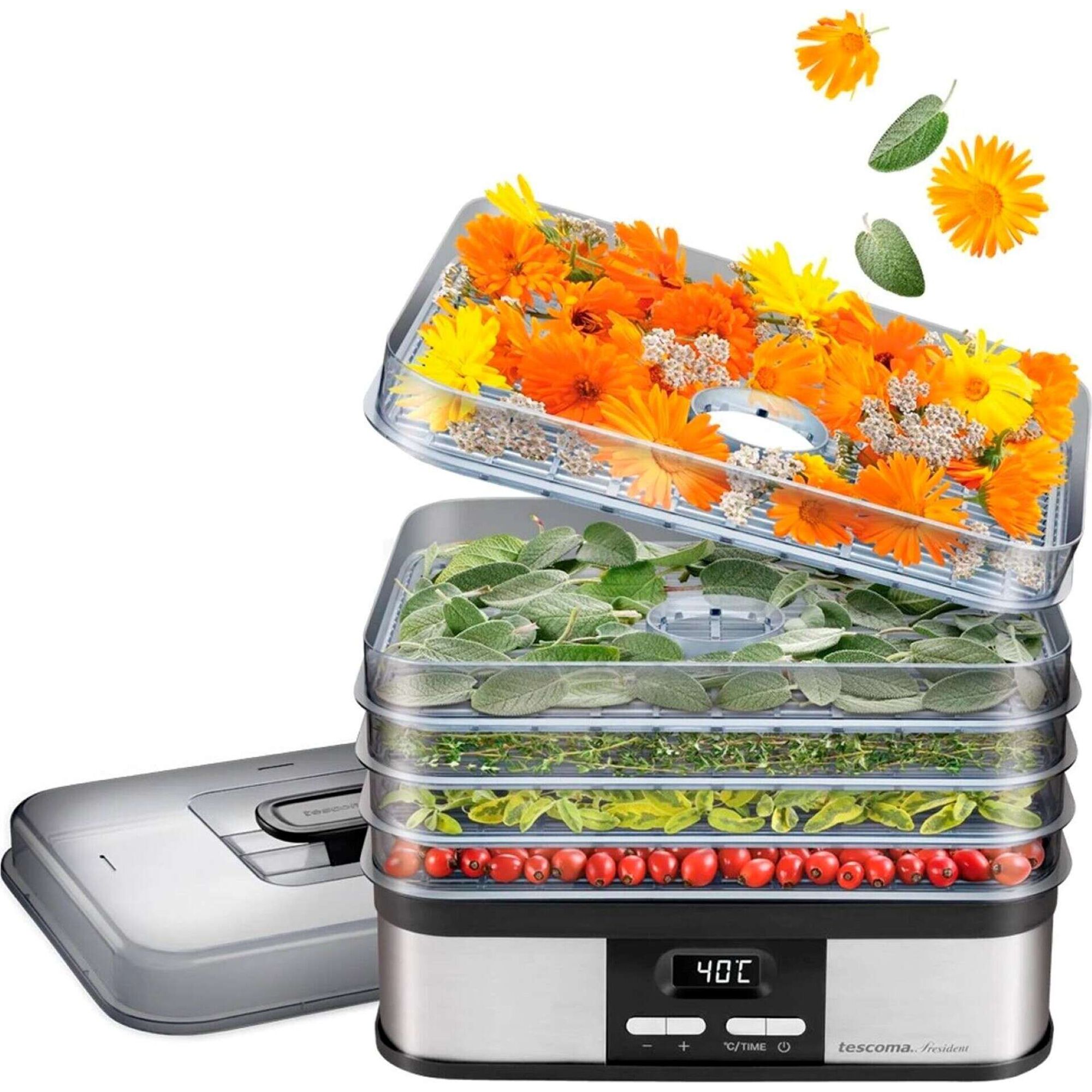 Desidratador De Alimentos President Tescoma