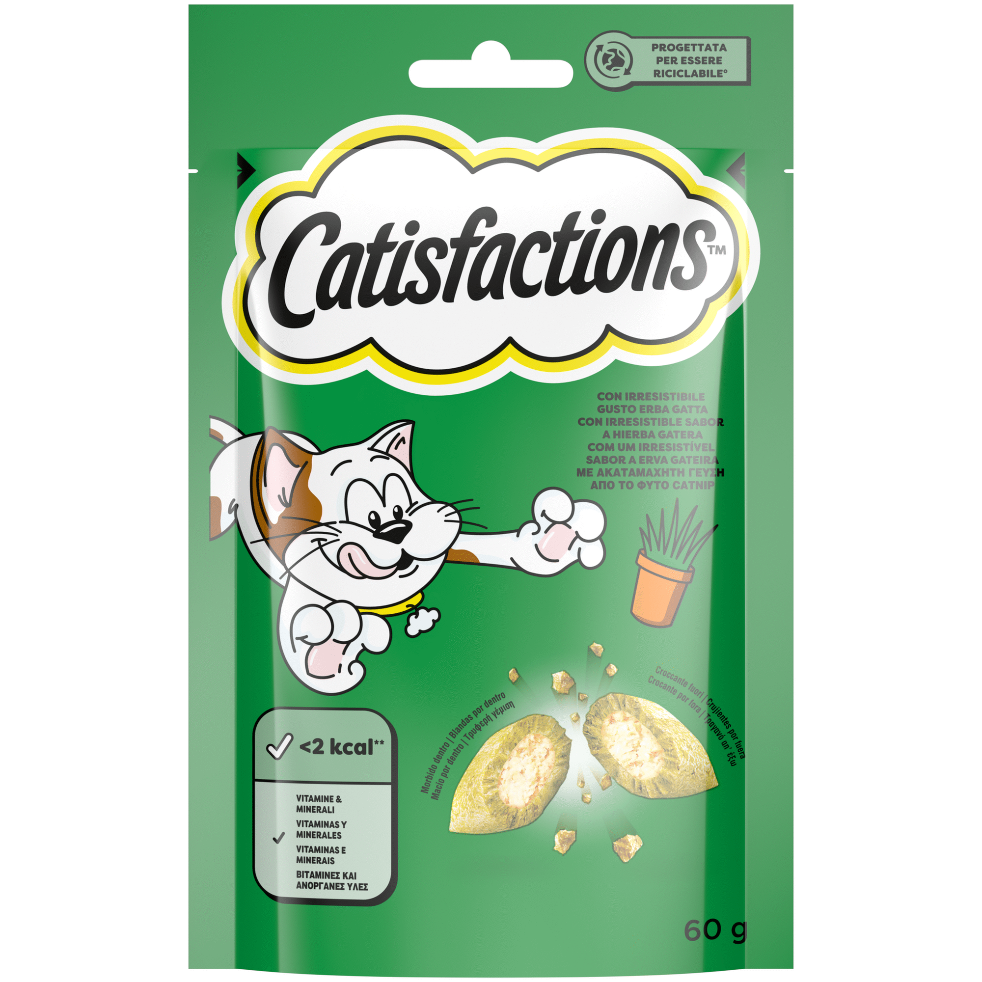 Snack para Gato Erva Gateira