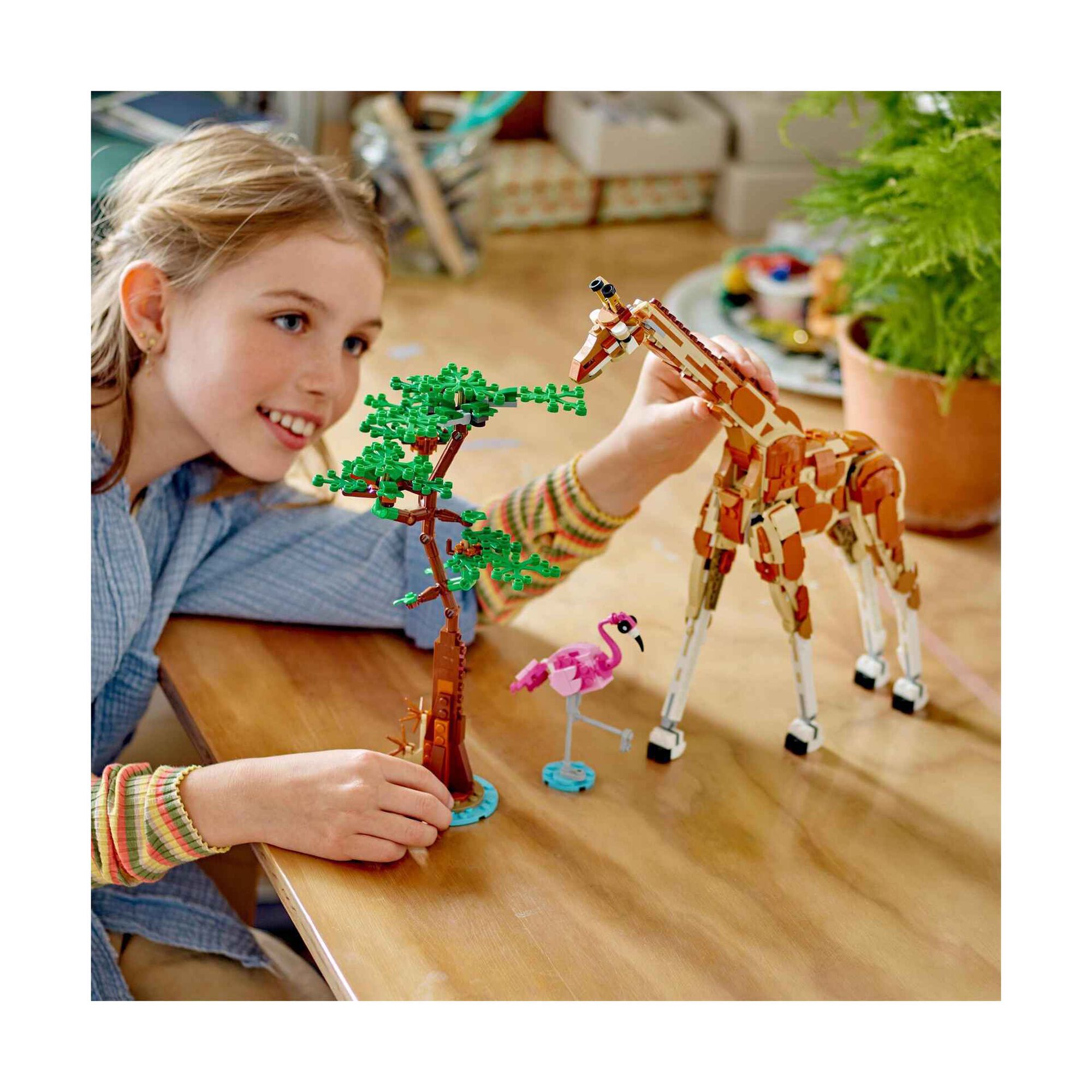 Animais Selvagens do Safari - 31150