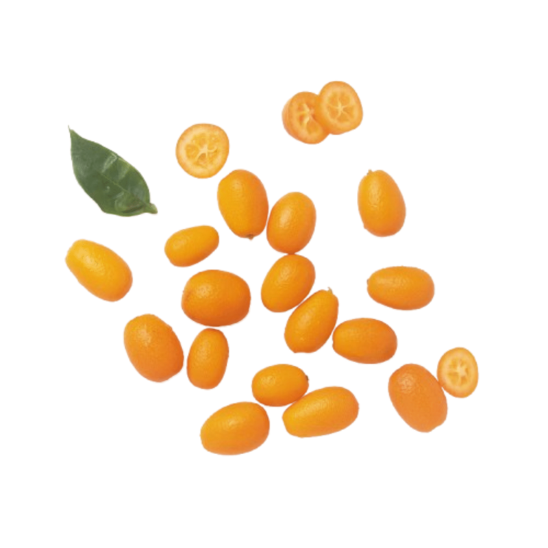 Kumquat Continente