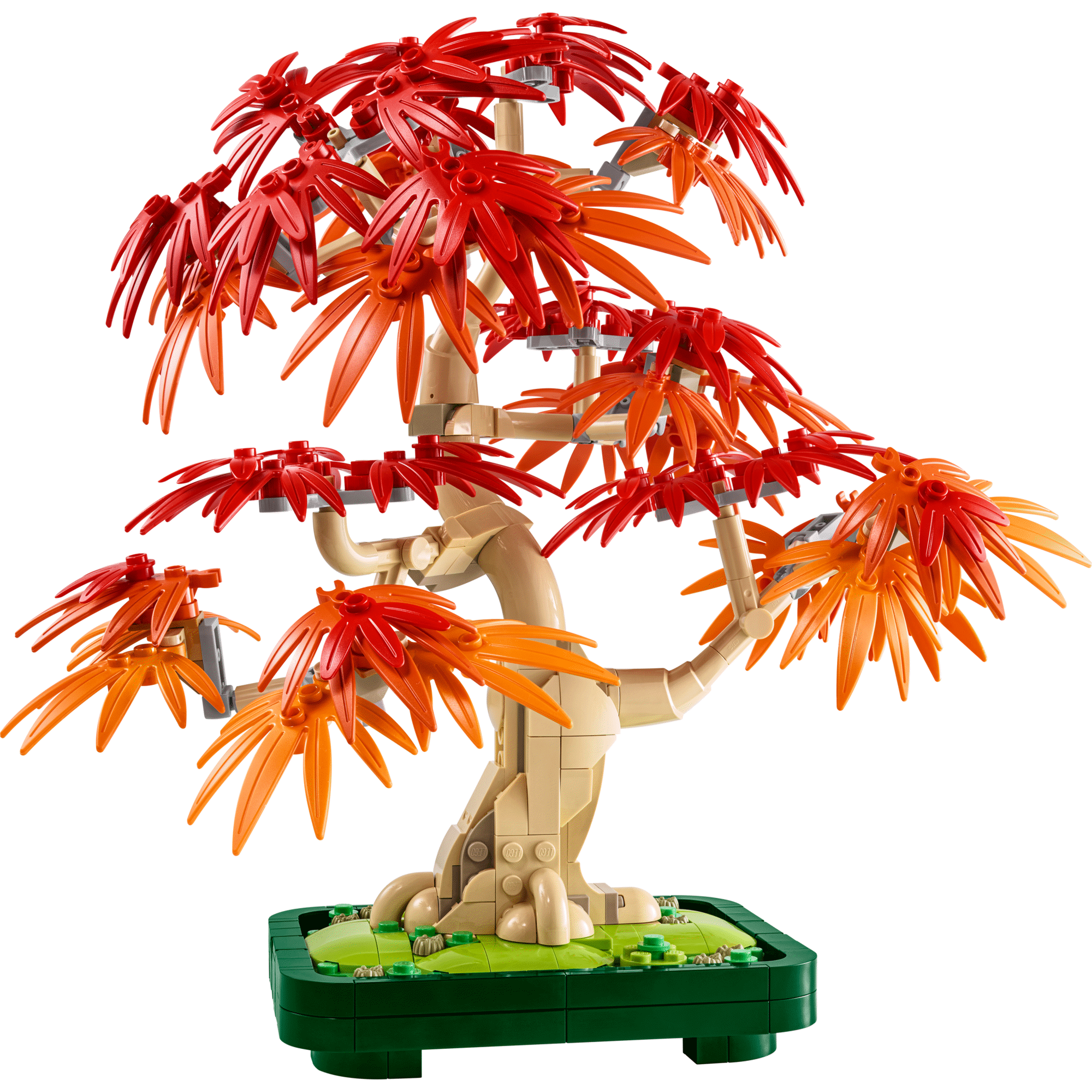 Bonsai de Bordo Vermelho Japonês - 10348