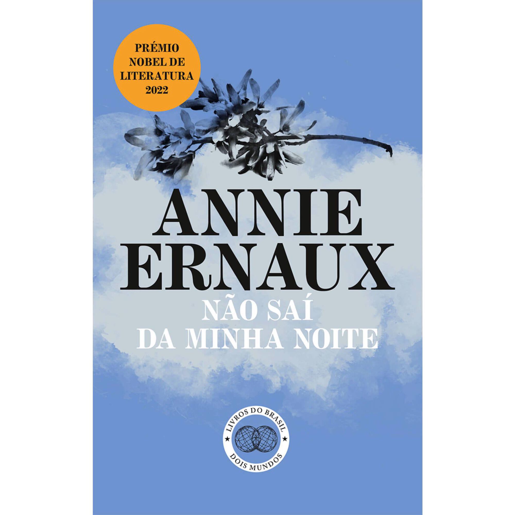 N&atilde;o Sa&iacute; da Minha Noite de Annie Ernaux