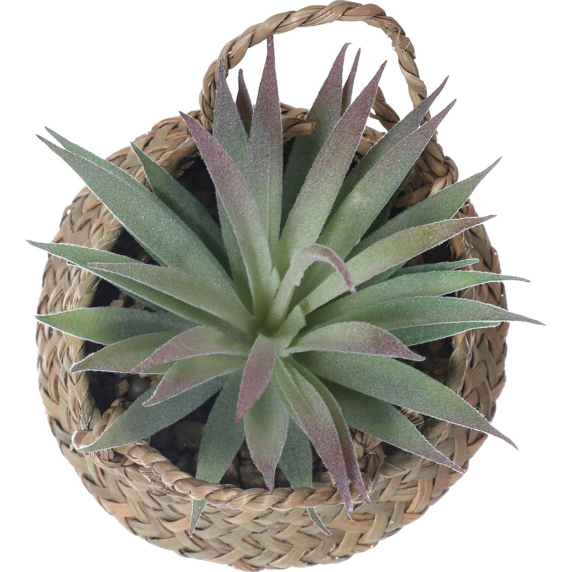 Planta Artificial Suculenta Aloe com Cesto com Asas