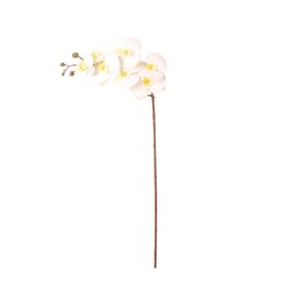 Haste Artificial Orqu&iacute;deas Brancas Kasa