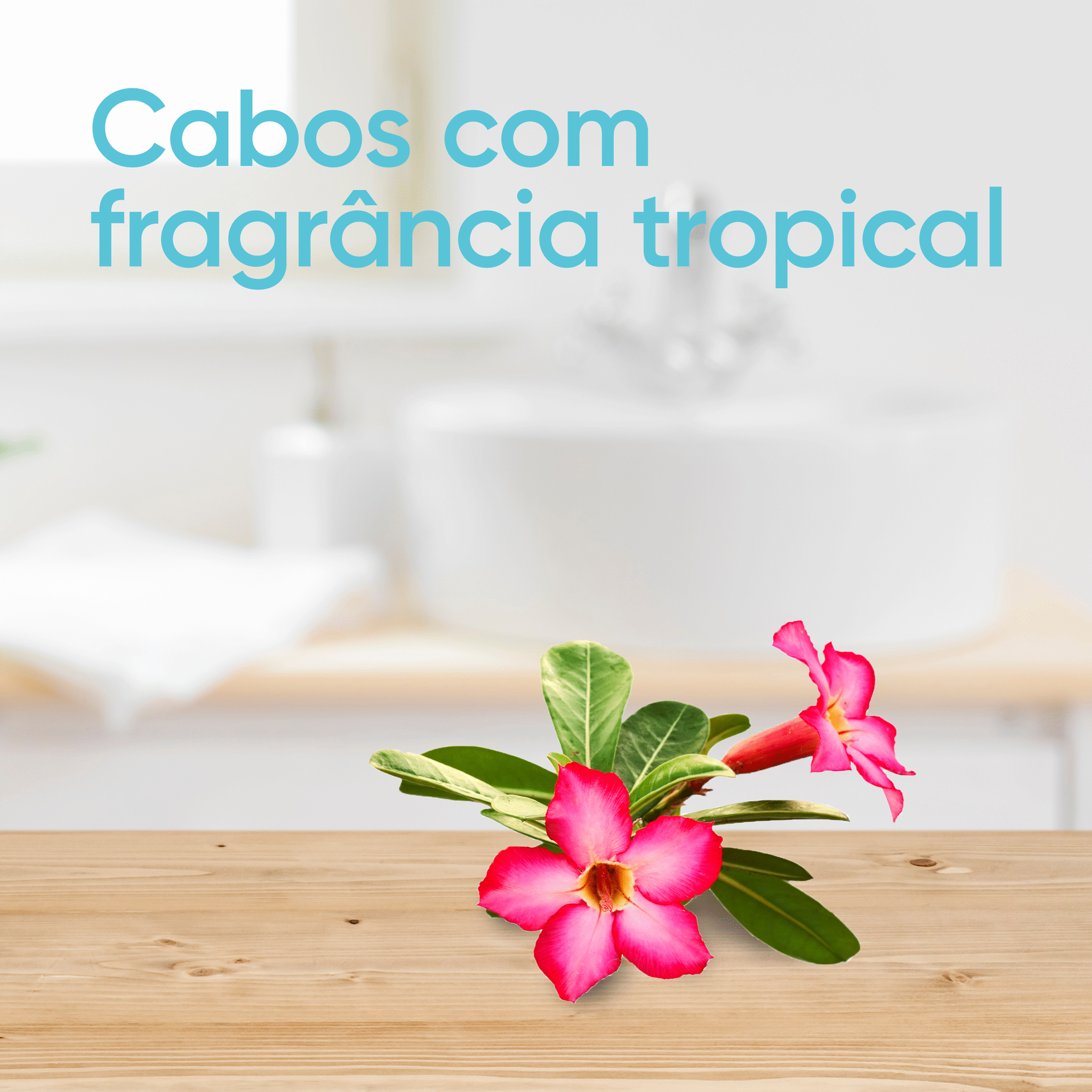 Lâminas Descartáveis Venus 3 Tropical Lâminas Descartáveis Venus 3 Tropical