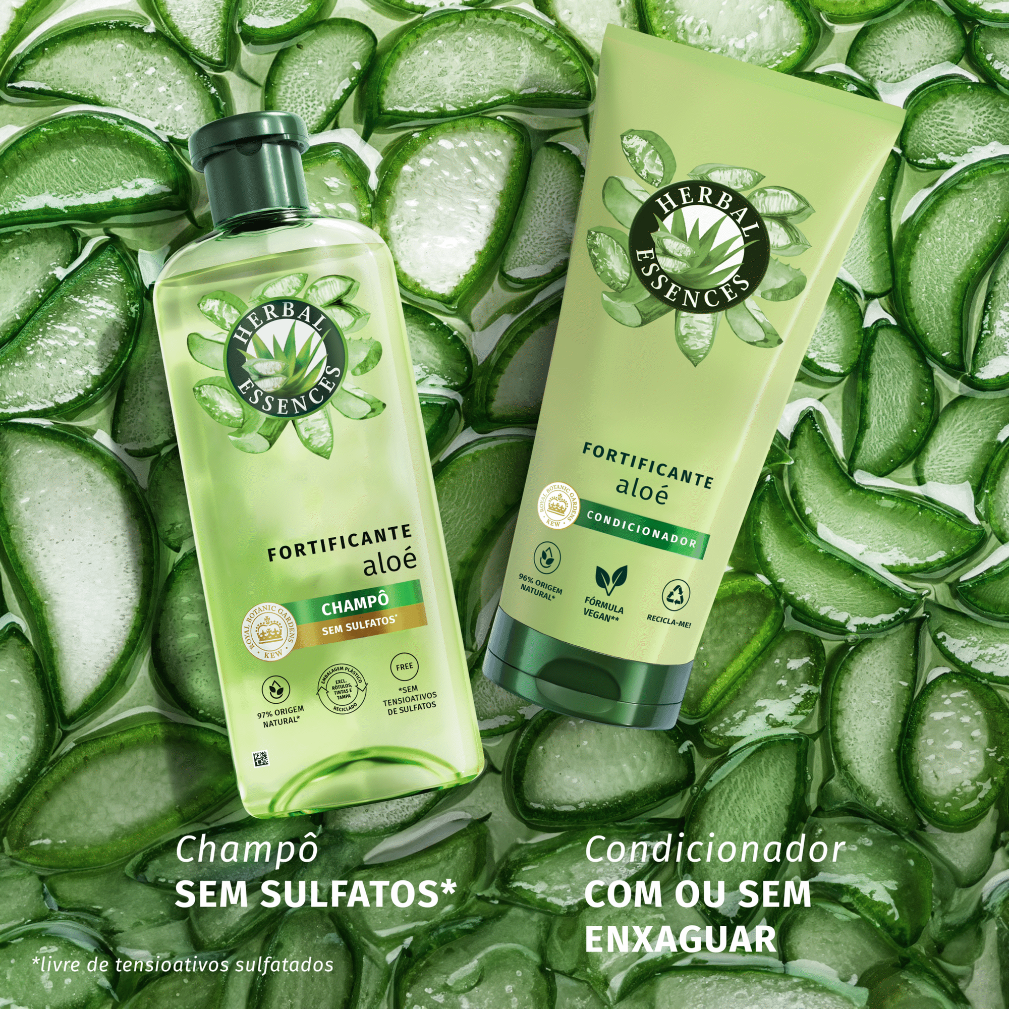 Champ&ocirc; Fortificante Aloe Herbal Essences