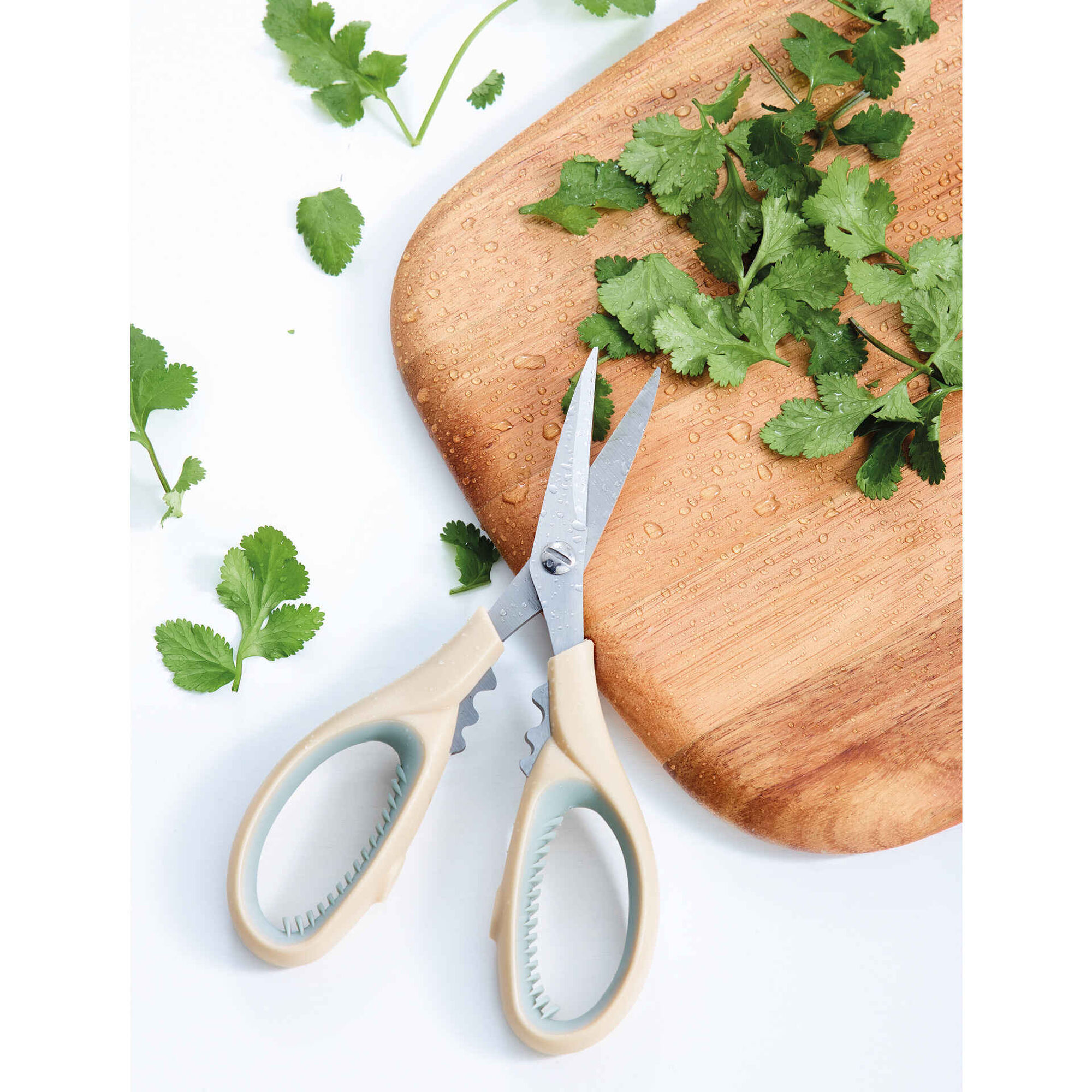 Tesoura Ervas Aromáticas Aço Inoxidável Bege 4 My Kitchen