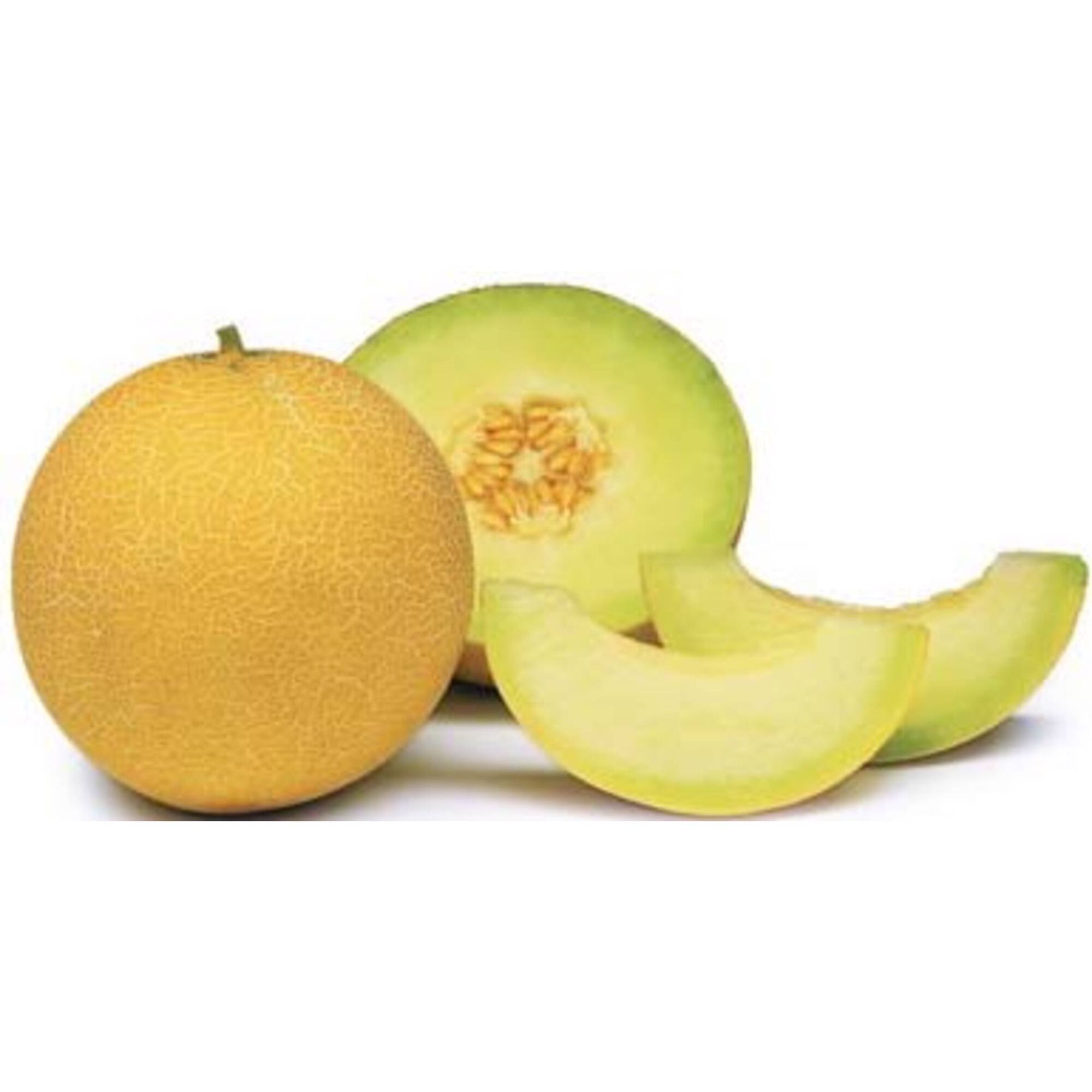 Meloa Galia
