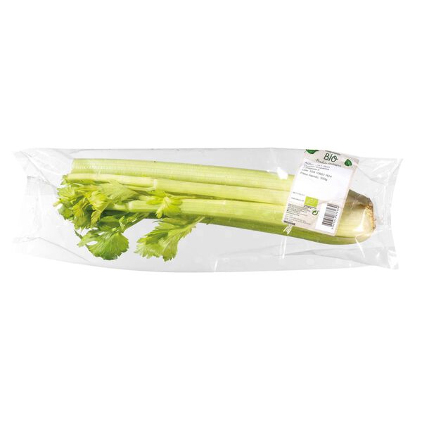Aipo Biológico Continente Bio