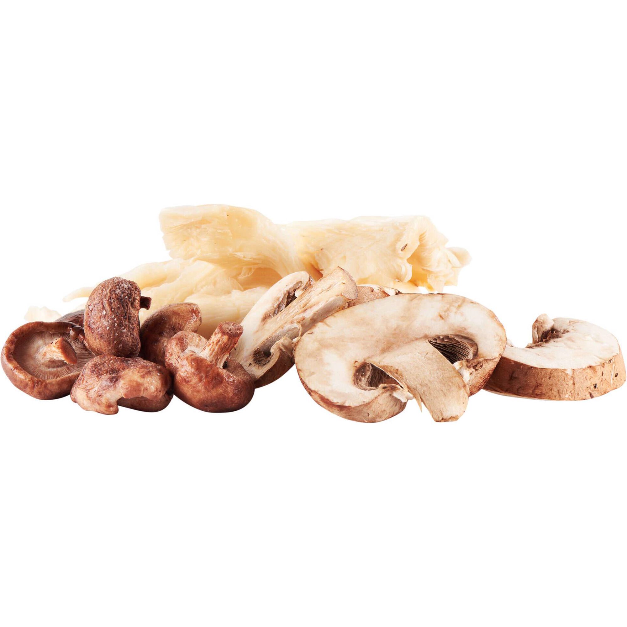 Mix de Cogumelos Biol&oacute;gico Argwell Fresh