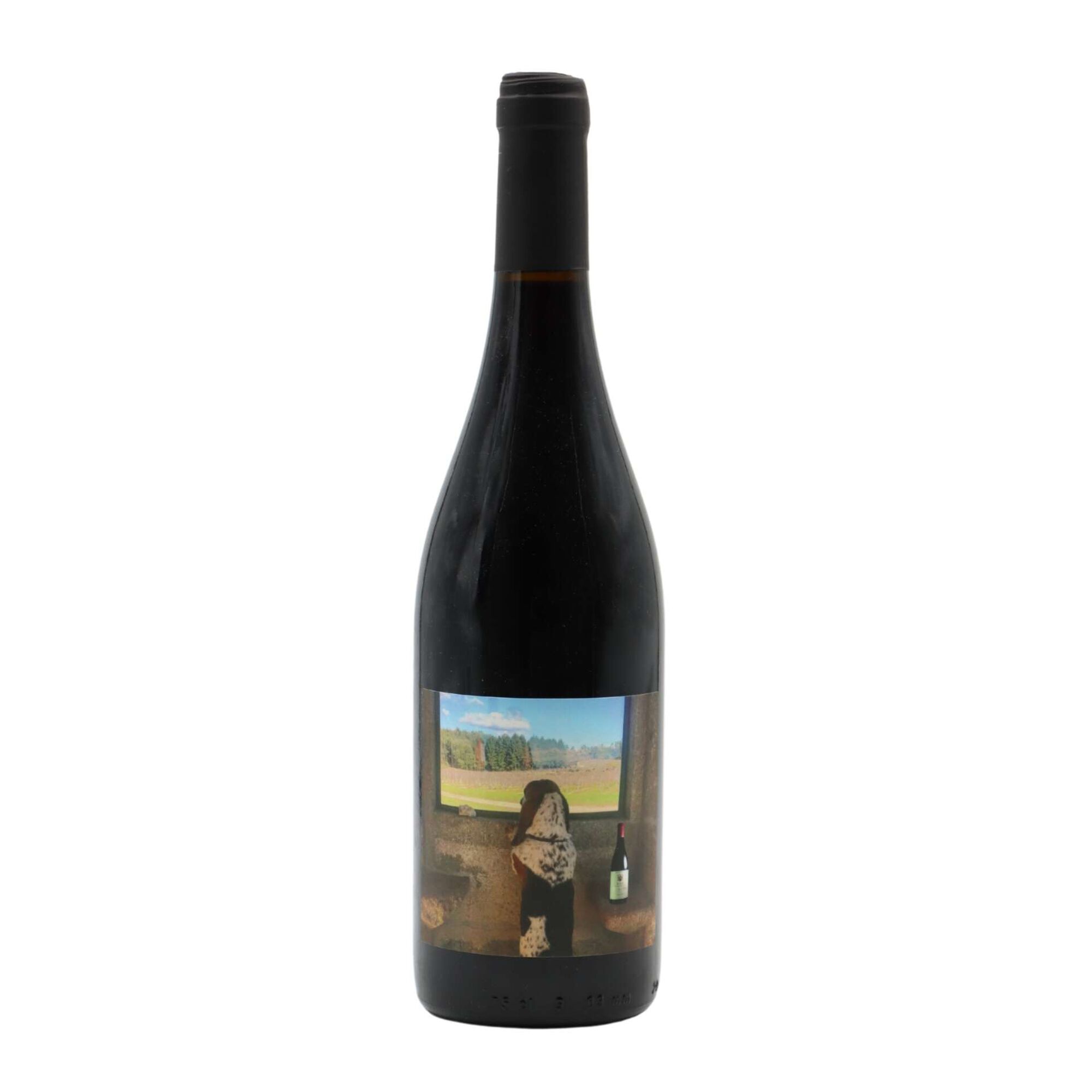 Quinta de Saes Tobias D&atilde;o Vinho Tinto