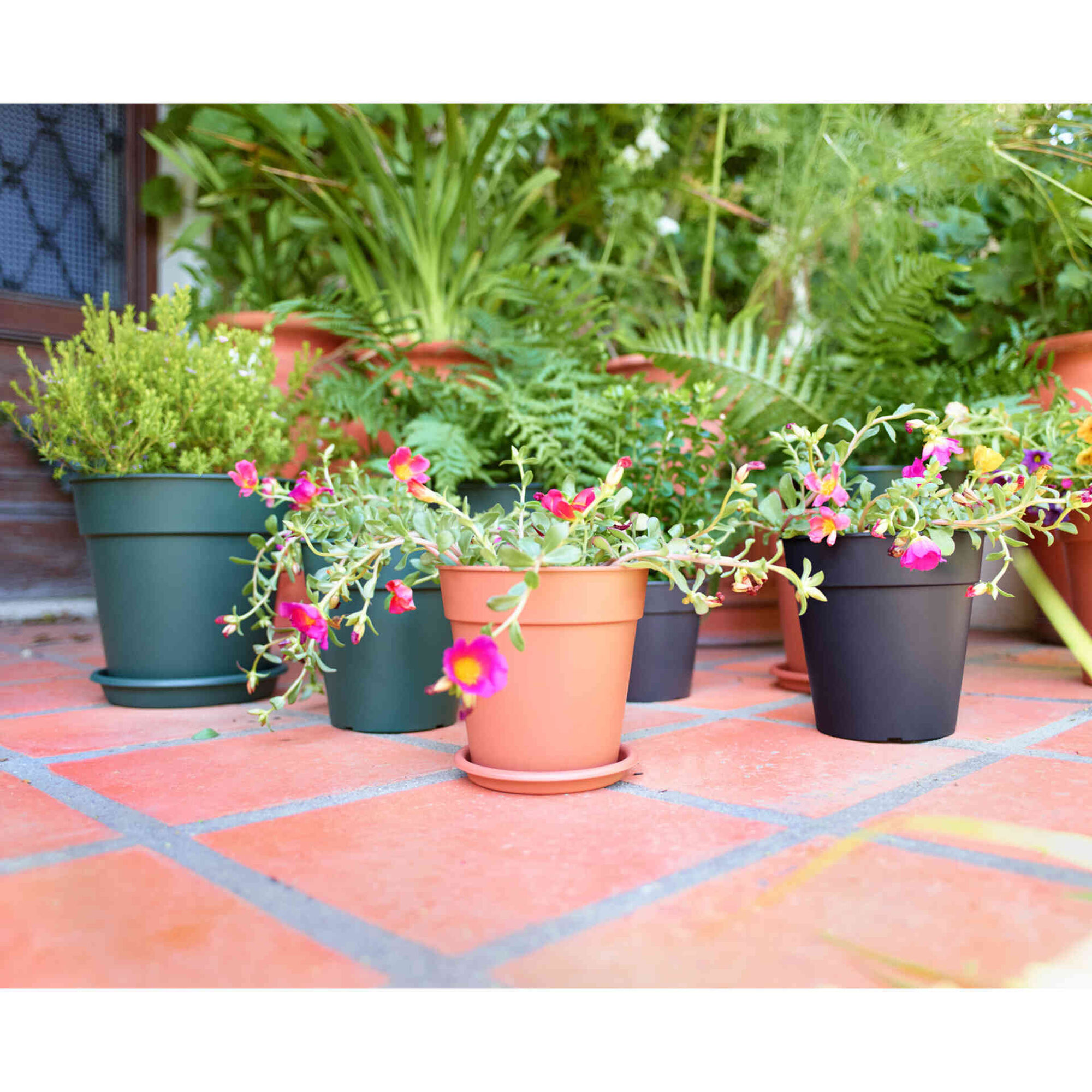 Prato Redondo Plástico 18cm Antracite