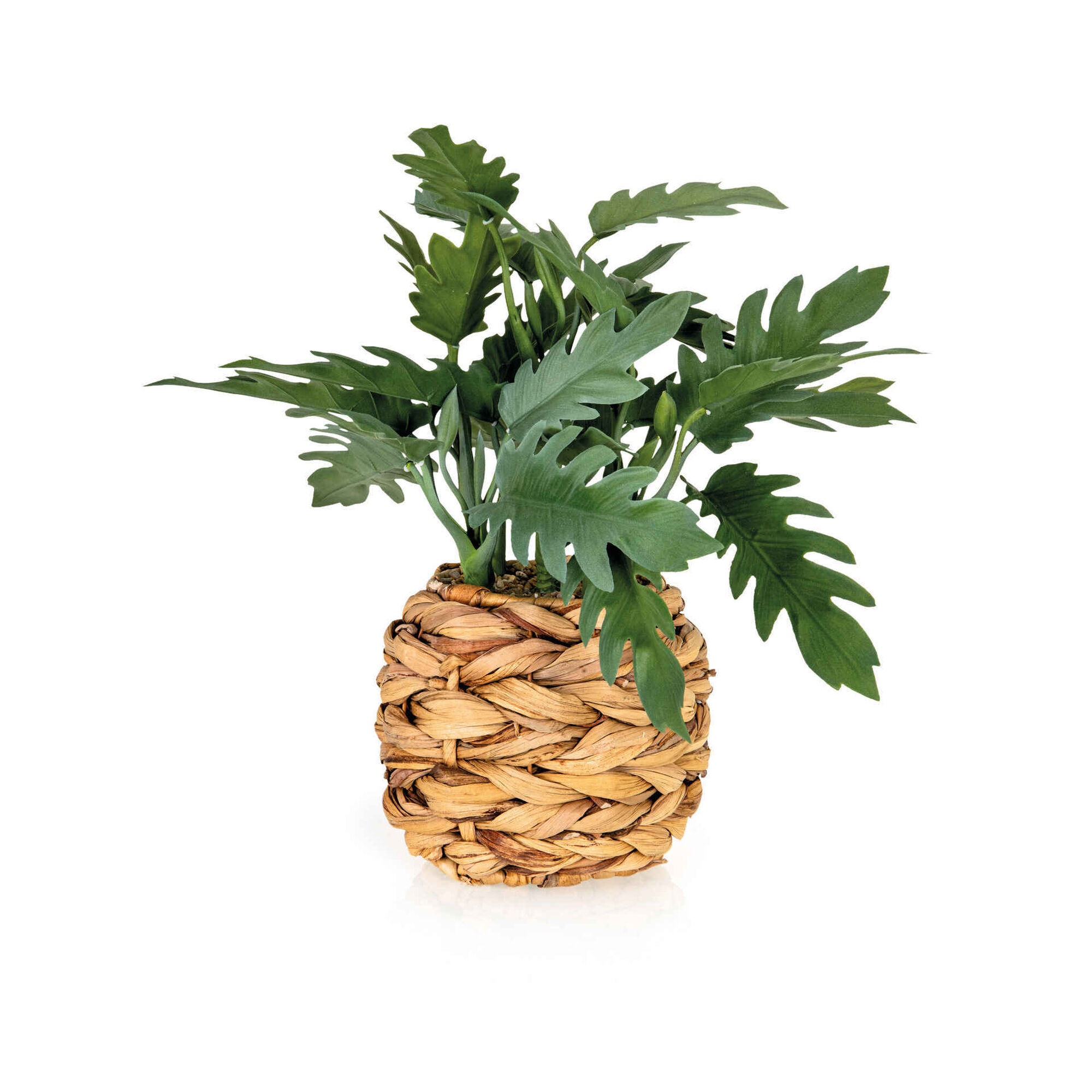 Planta Artificial Folha Grande com Vaso Seagrass Planta Artificial Folha Grande com Vaso Seagrass