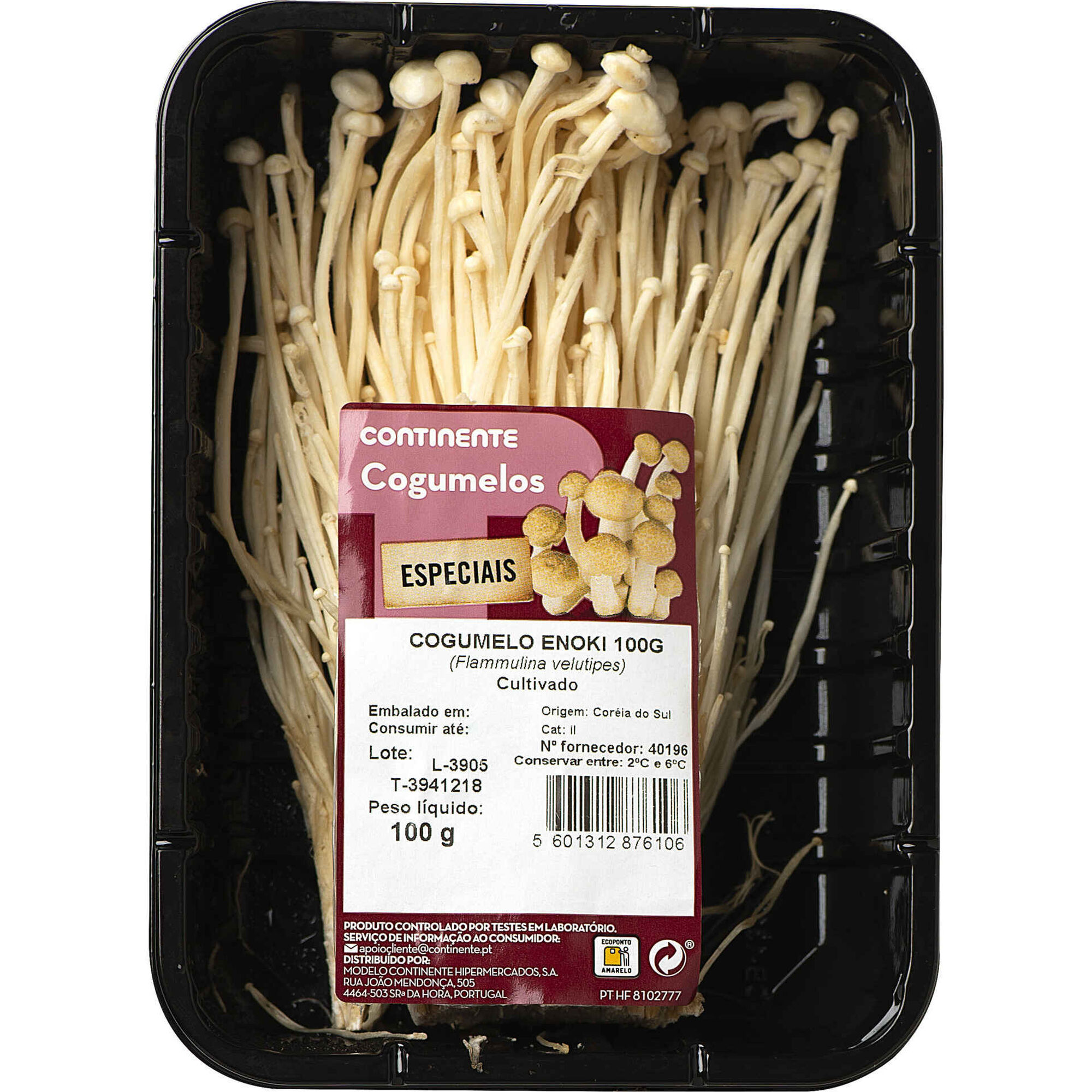 Cogumelo Enoki Fresco Cogumelo Enoki Fresco