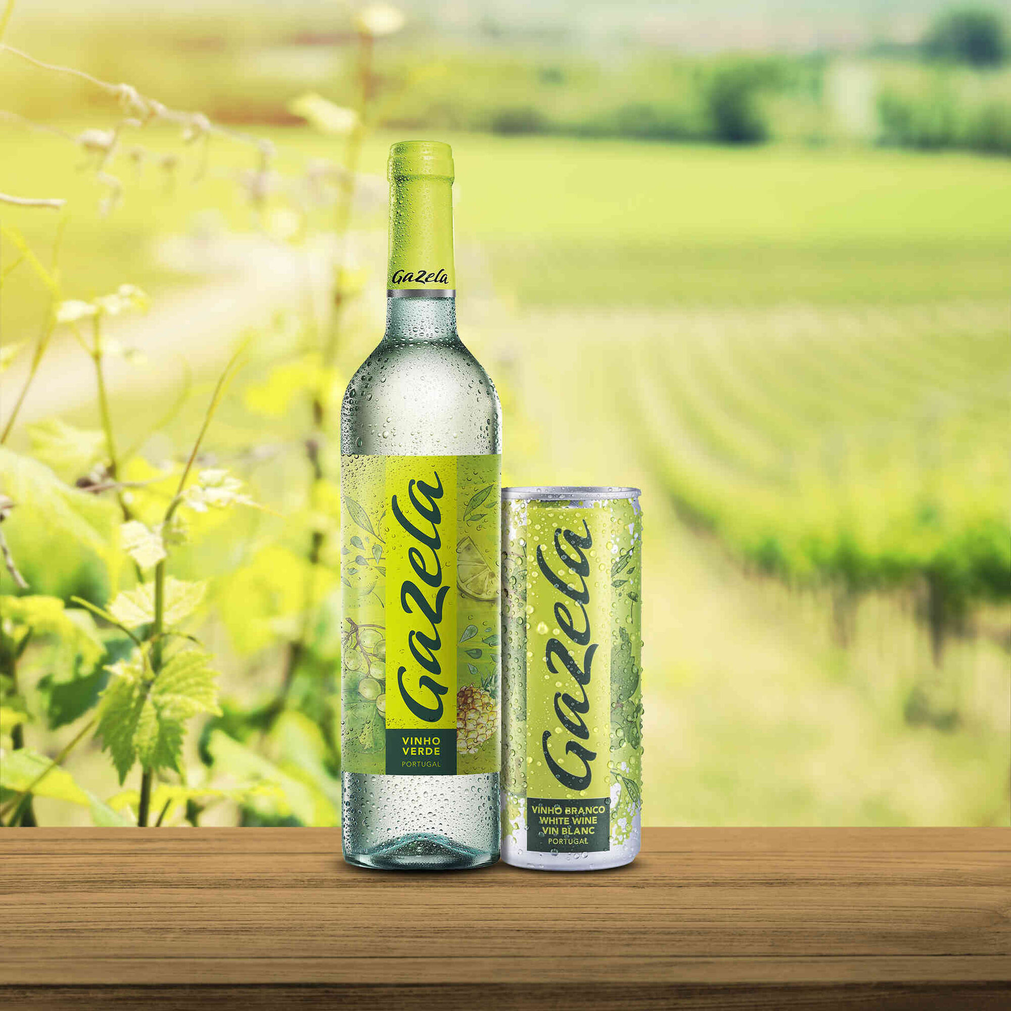 Vinho Branco que sabe bem com a vida