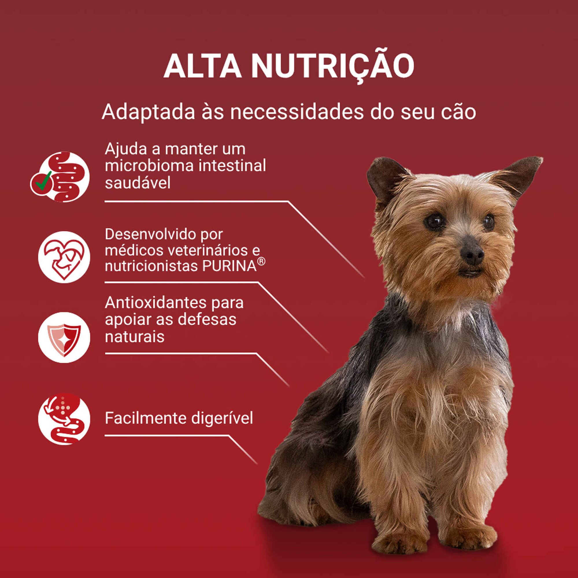 Comida H&uacute;mida para C&atilde;o Mix Purina One Mini