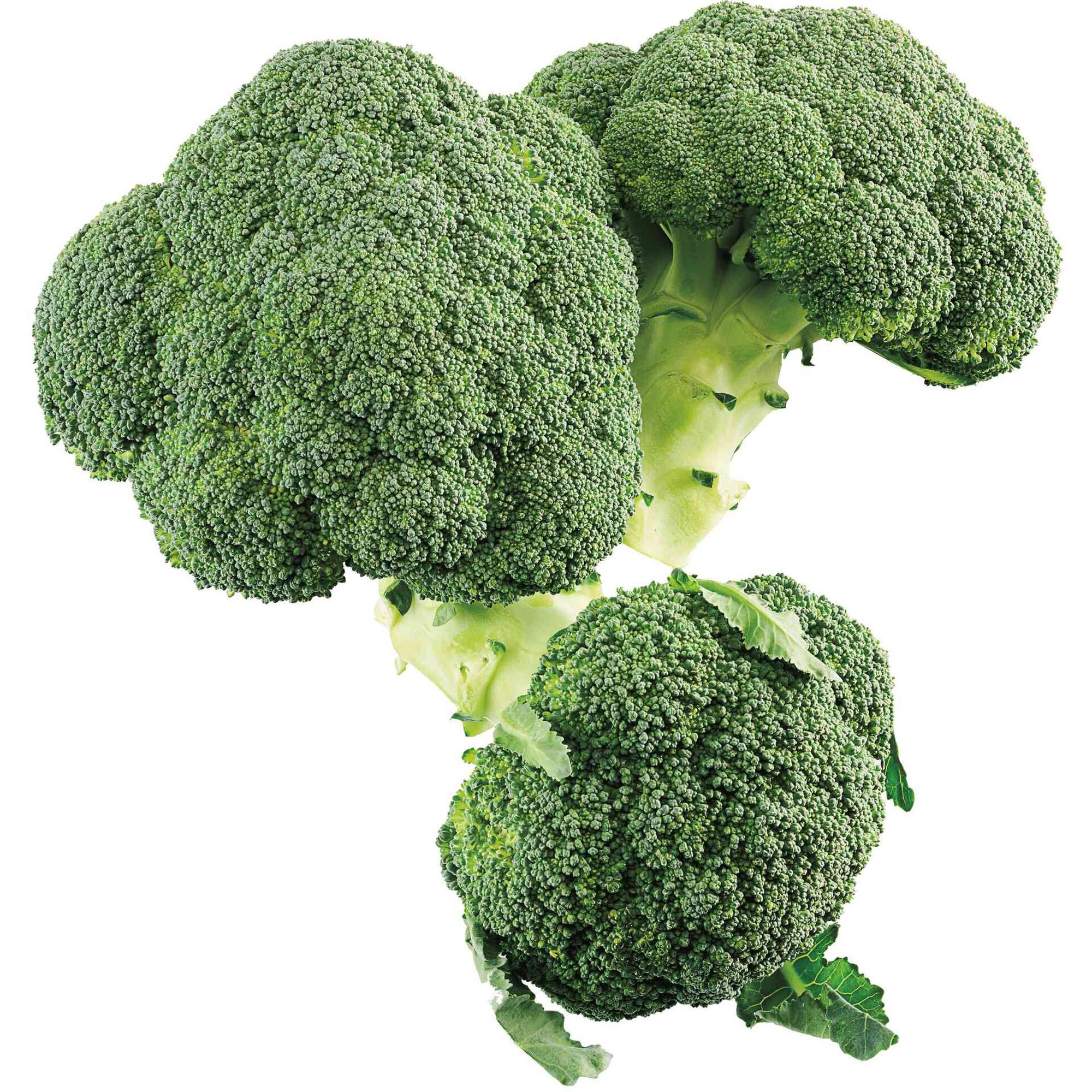 Couve Brócolo
