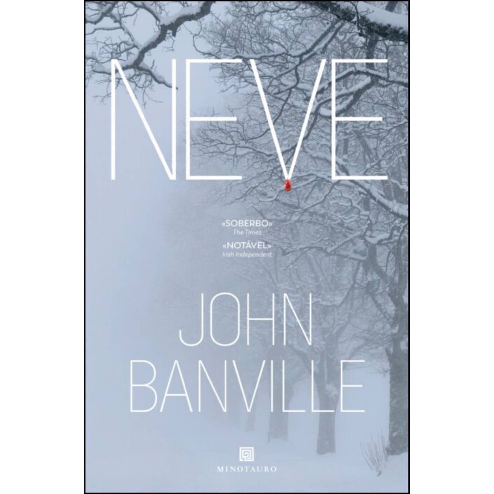 Neve de John Banville