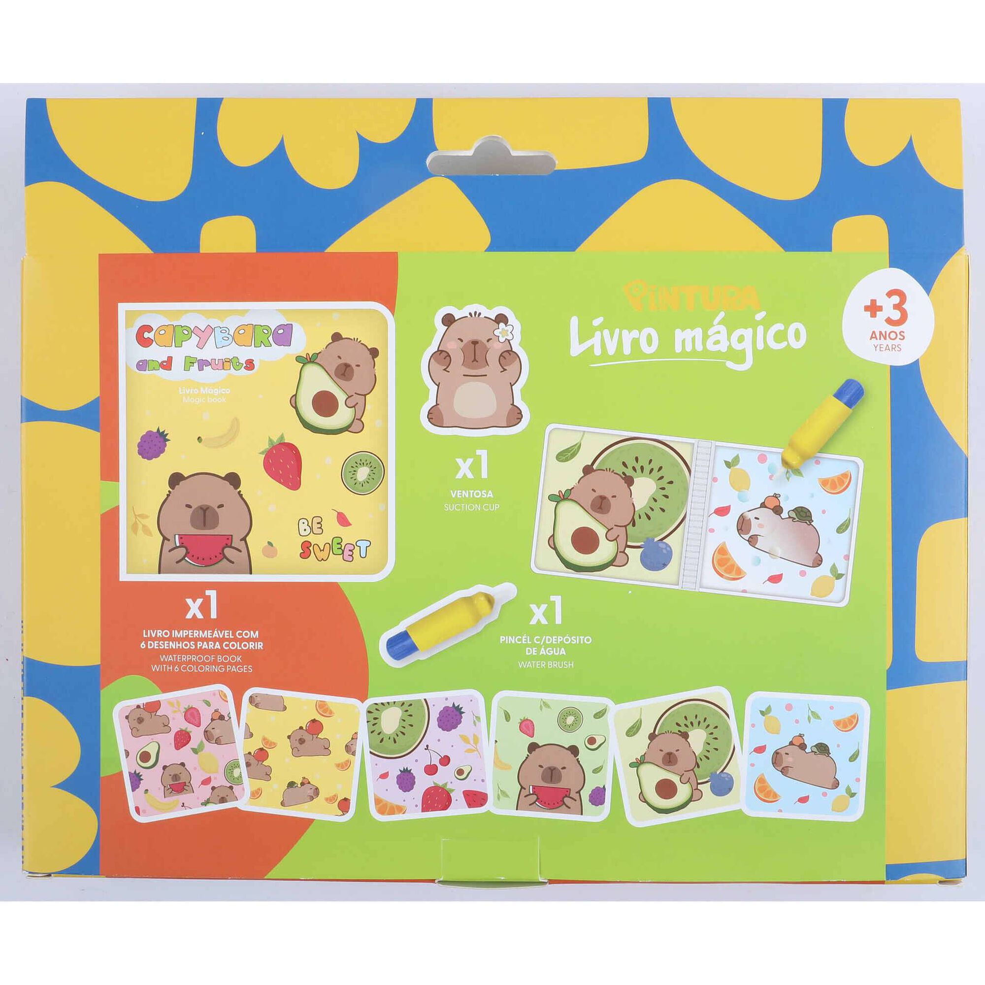 Kit de  Livro M&aacute;gico (v&aacute;rios modelos) Pintura