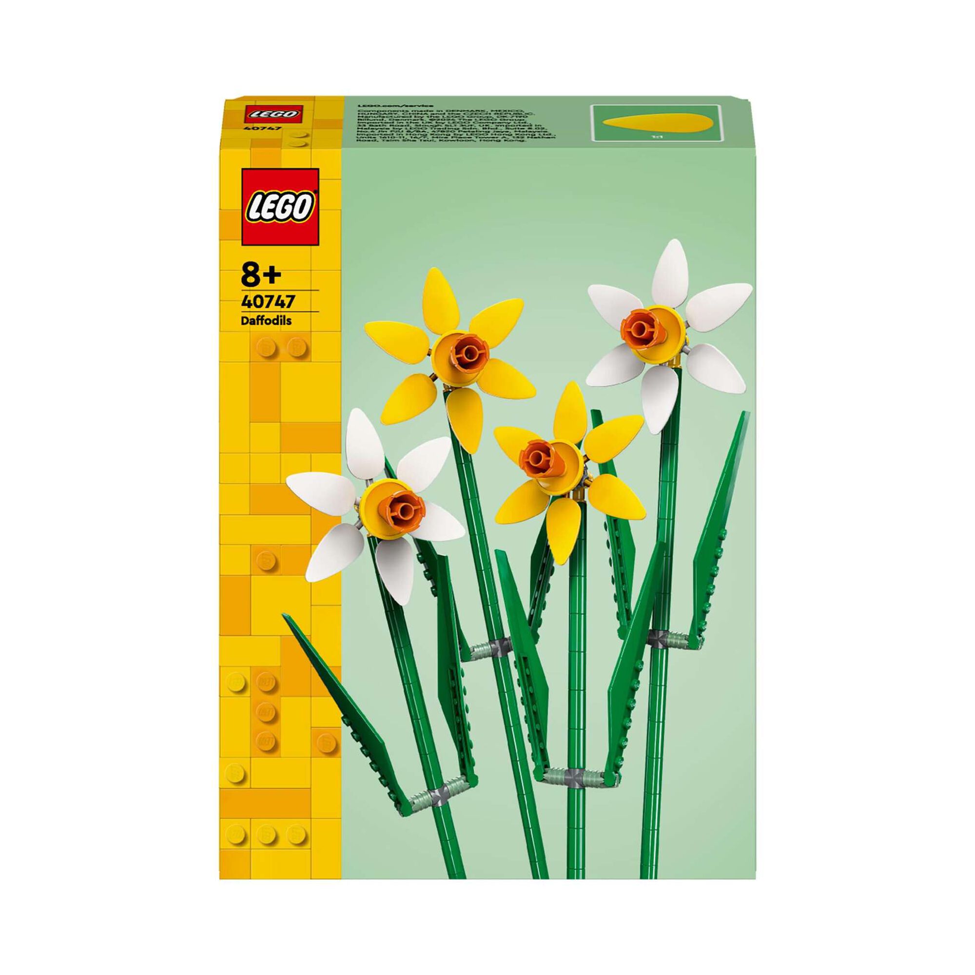 Narcisos - 40747