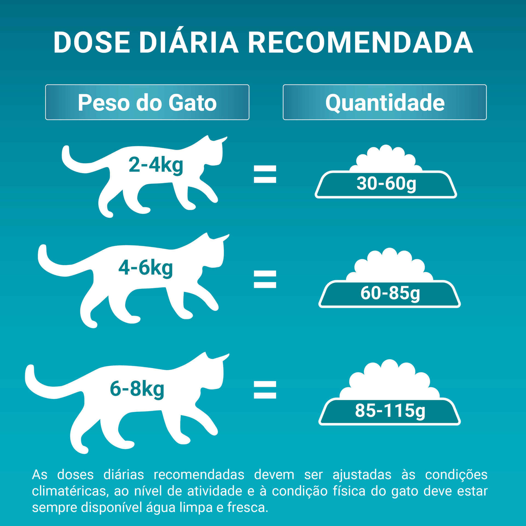 Ração para Gato Adulto Salmão