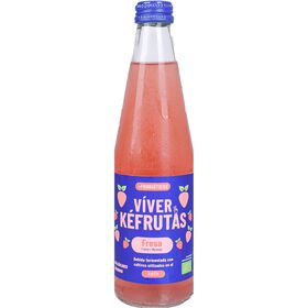 Iogurte Kefir Morangos V&iacute;ver K&eacute;frutas