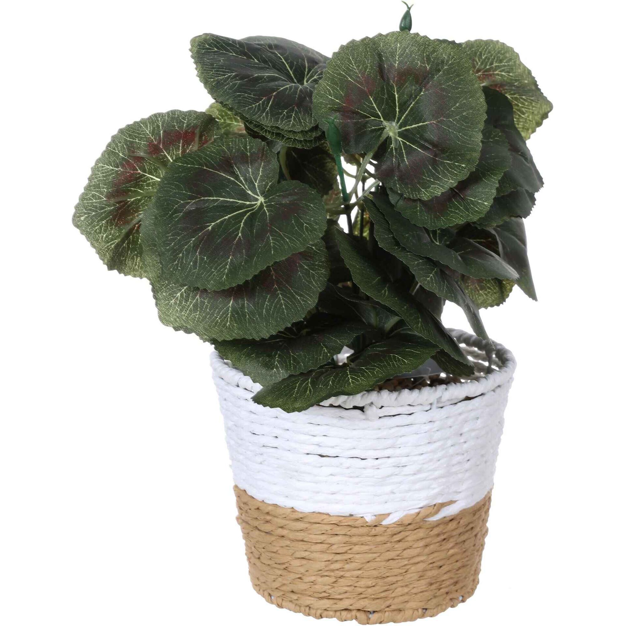 Planta Artificial com Vaso Palha 13x20cm Kasa