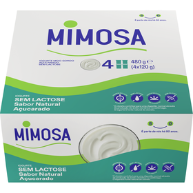 Iogurte Natural Açucarado sem Lactose