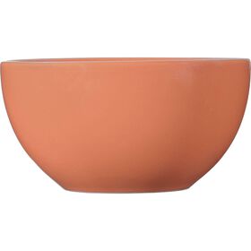 Taça 620ml Lisa Tijolo