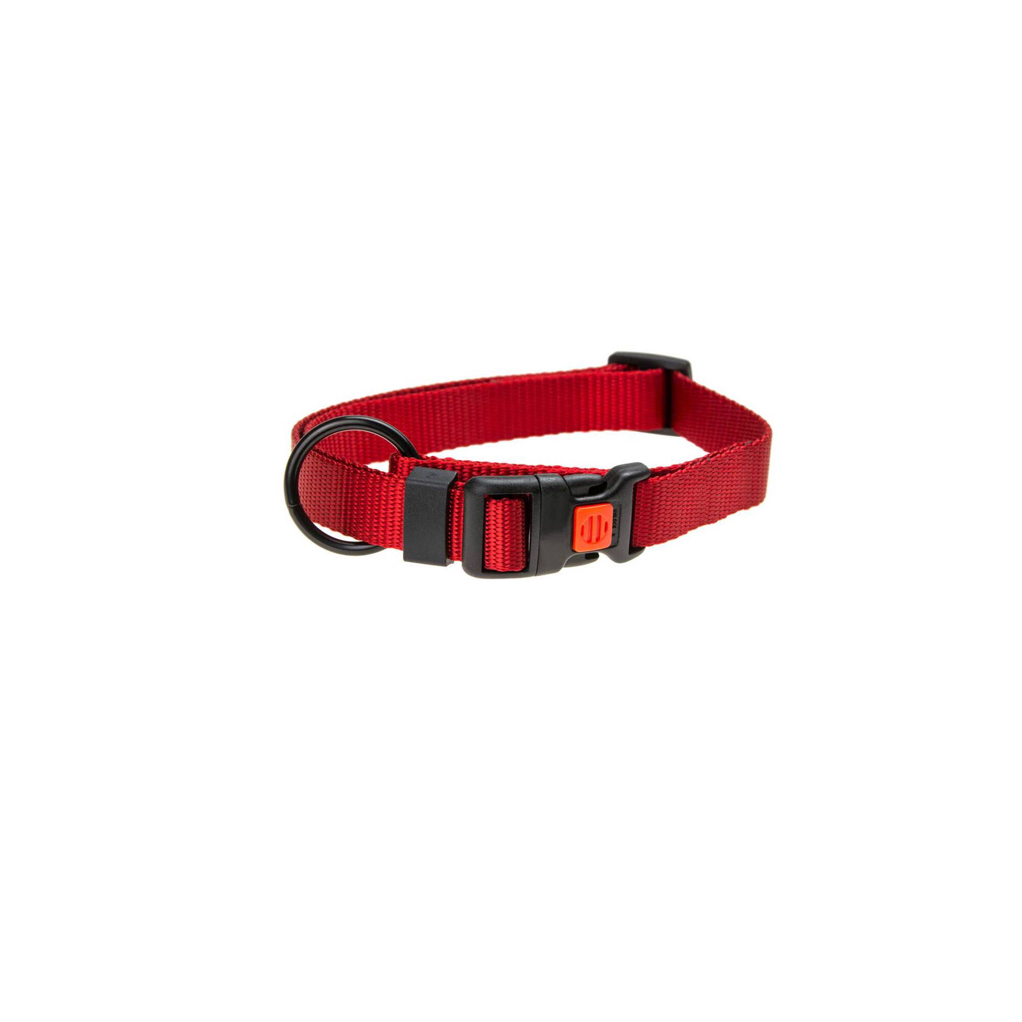 Coleira com Fecho Segurança Vermelho 25 mm x 45-65 cm Coleira com Fecho Segurança Vermelho 25 mm x 45-65 cm