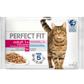 Comida Húmida para Gato Pescada e Salmão