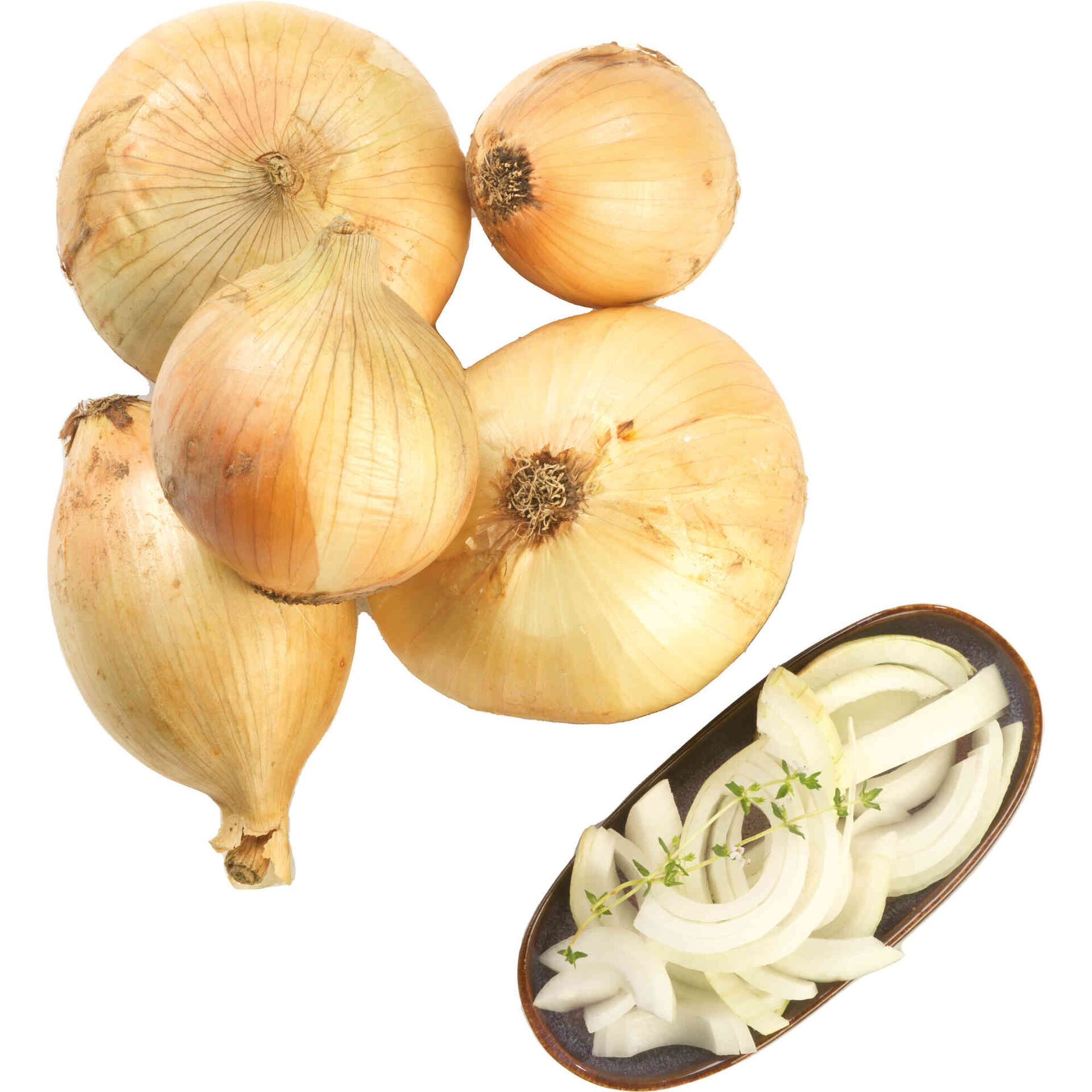 Cebola Nova