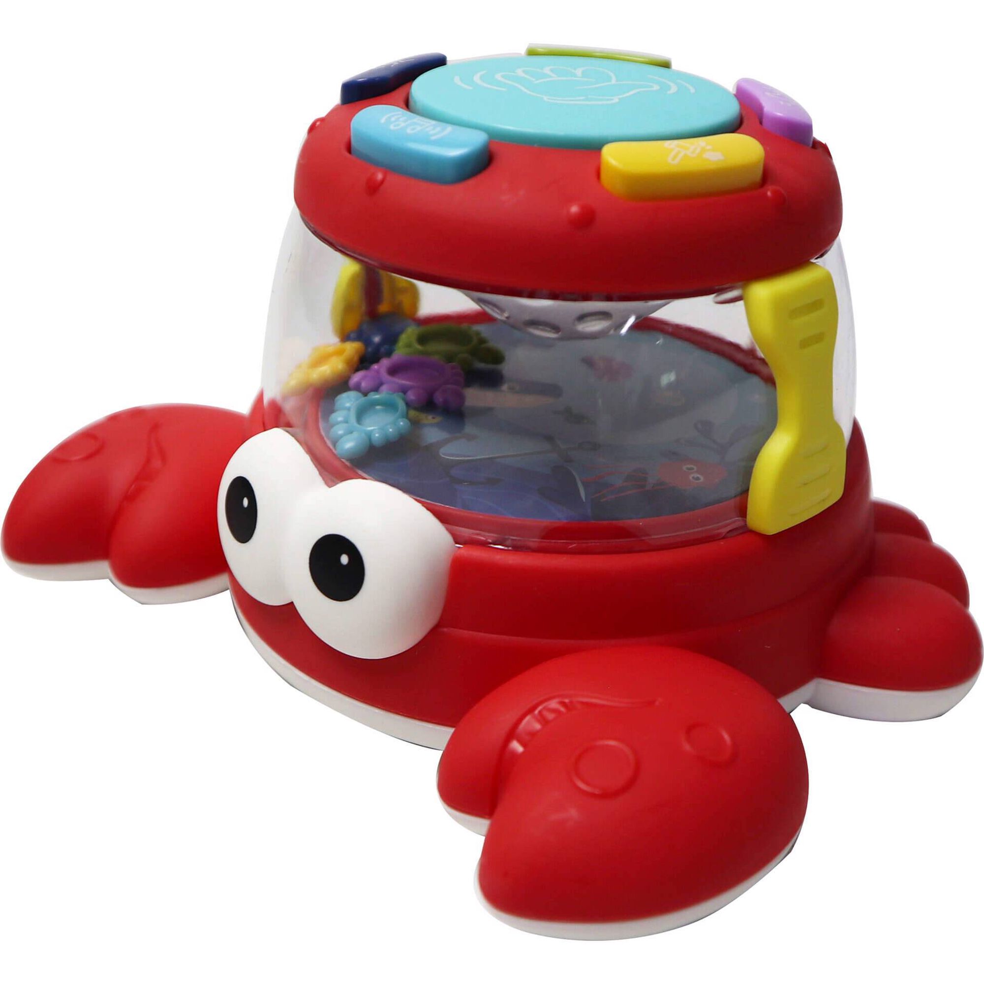 Tartaruga e Carangueijo Divertidos