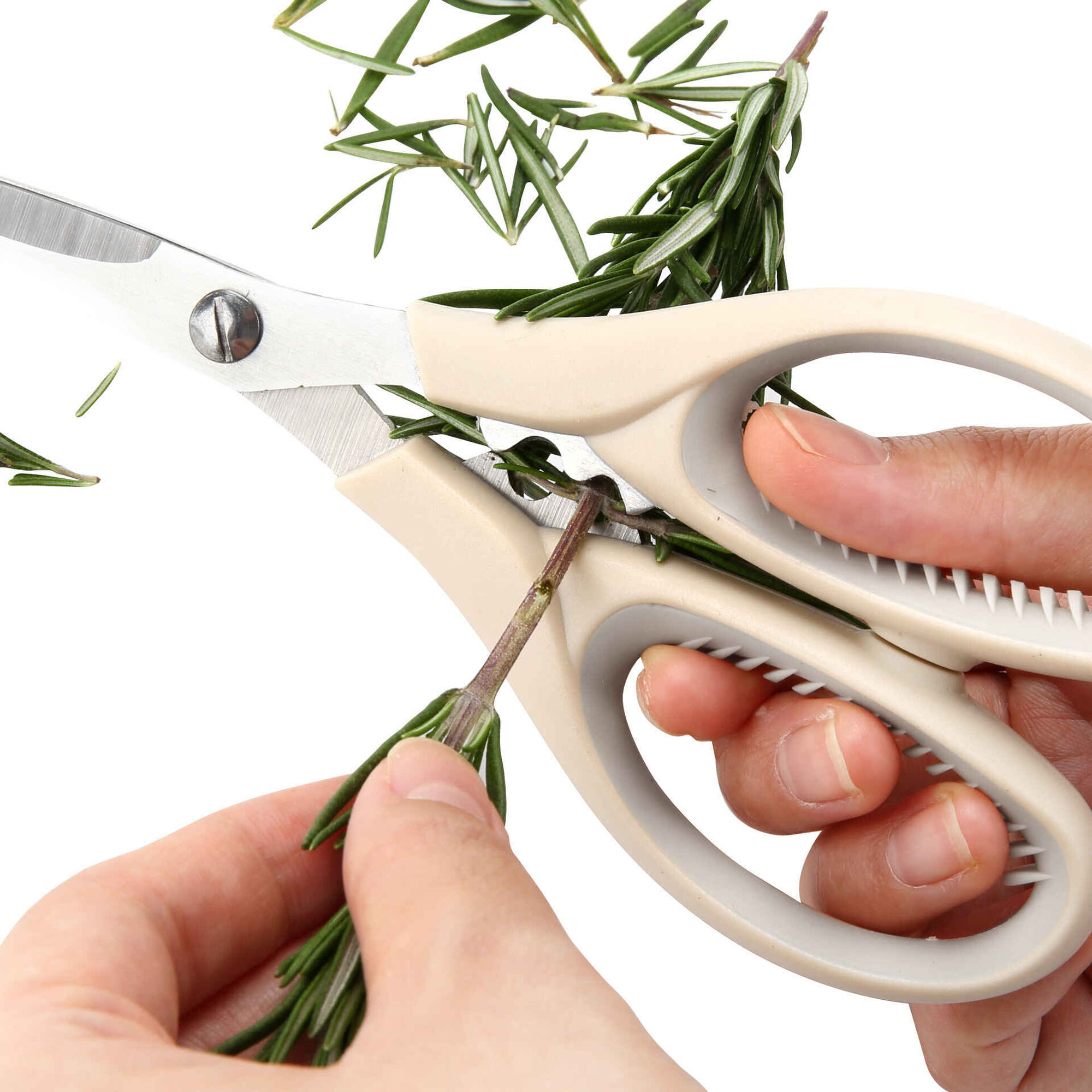 Tesoura Ervas Aromáticas Aço Inoxidável Bege 4 My Kitchen
