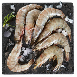 Camarão Vannamei 20/30 Congelado