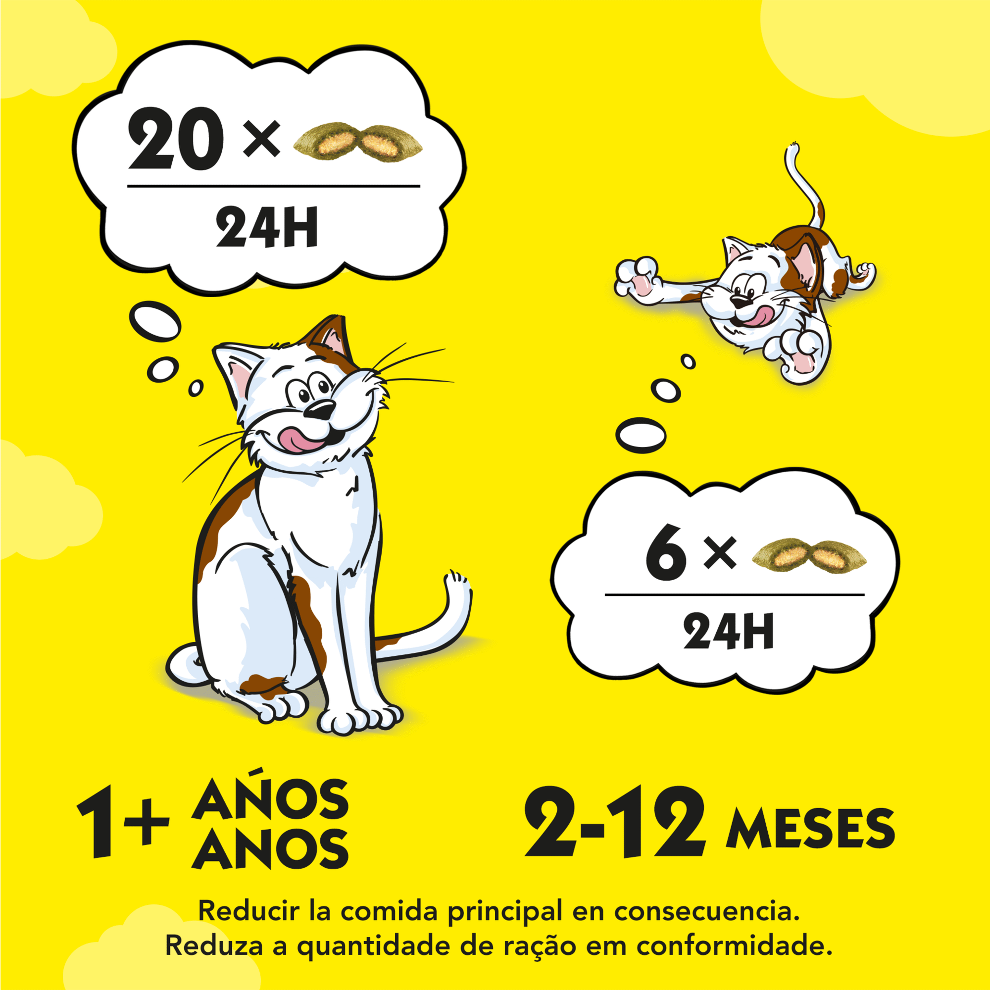 Snack para Gato Erva Gateira