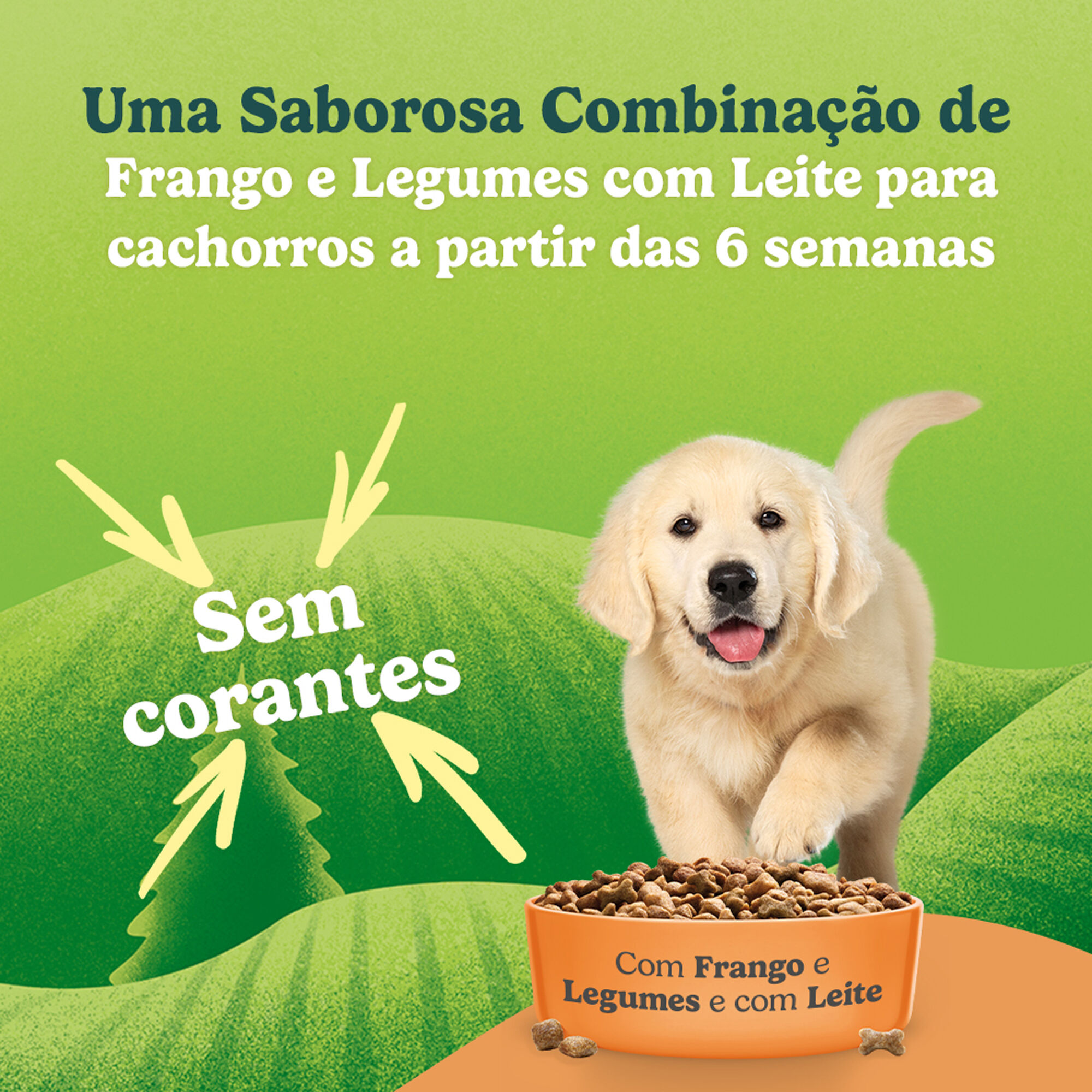 Ra&ccedil;&atilde;o para C&atilde;o J&uacute;nior Frango e Legumes Purina Friskies