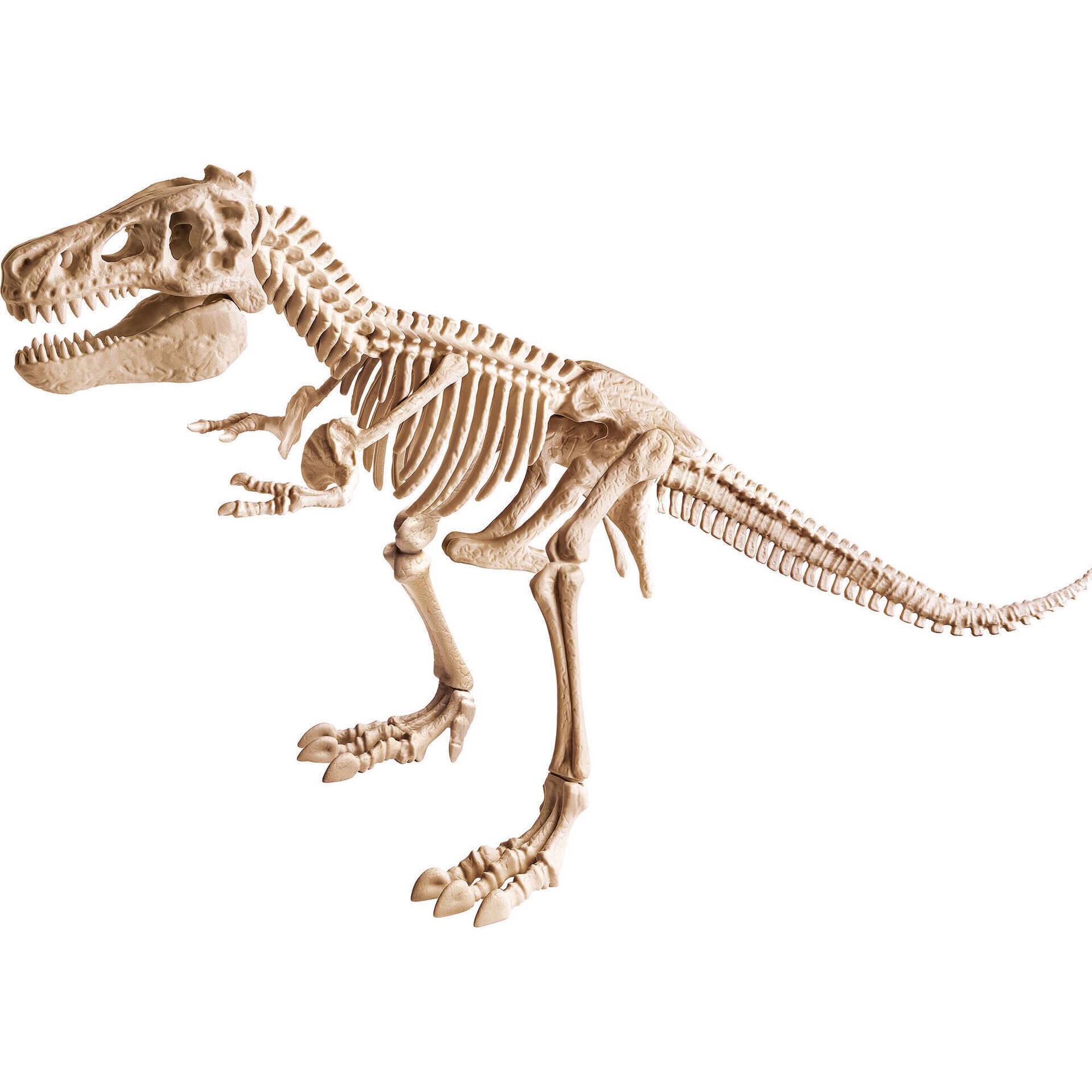 Kit Arqueologia - T-Rex Gigante