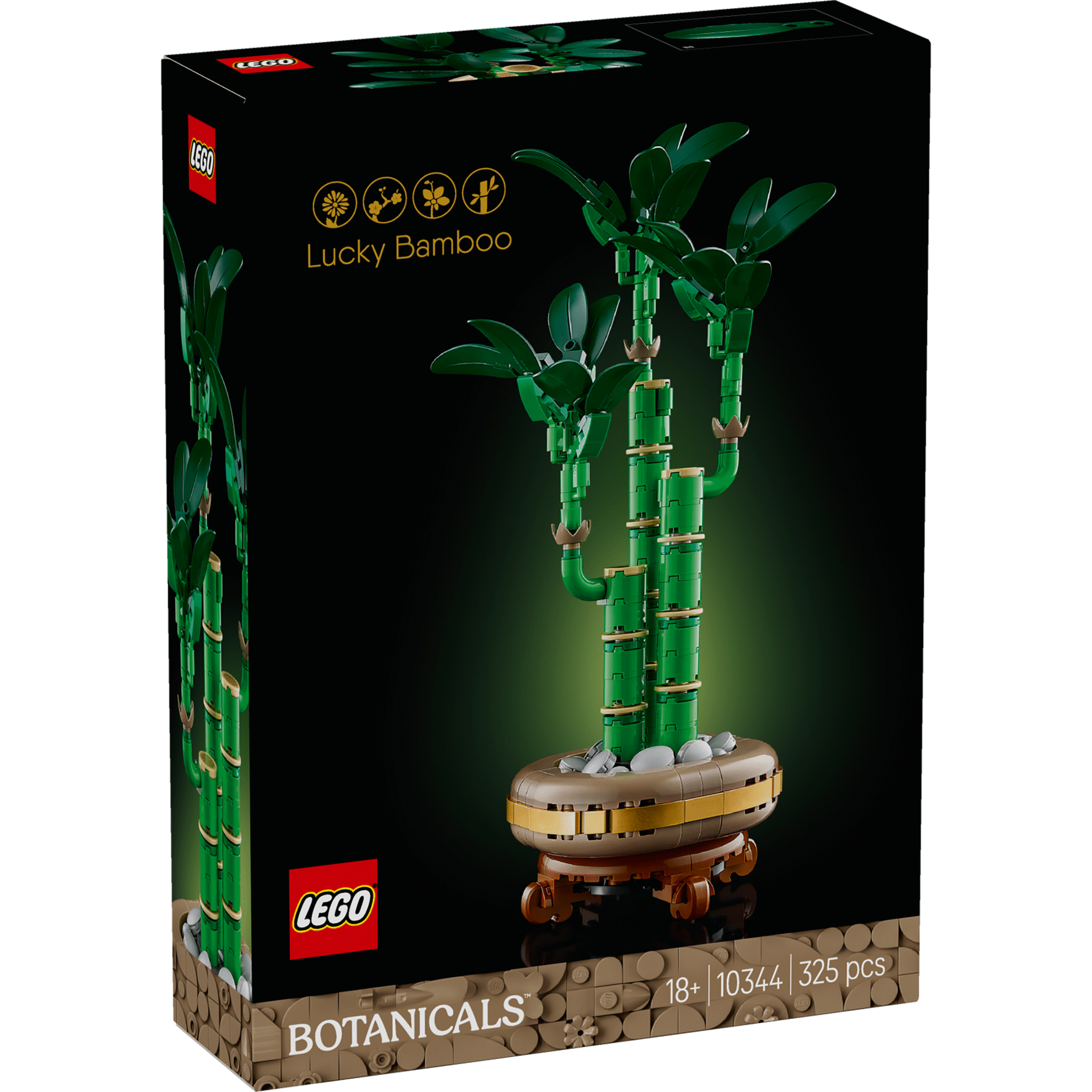 Bambu da Sorte - 10344